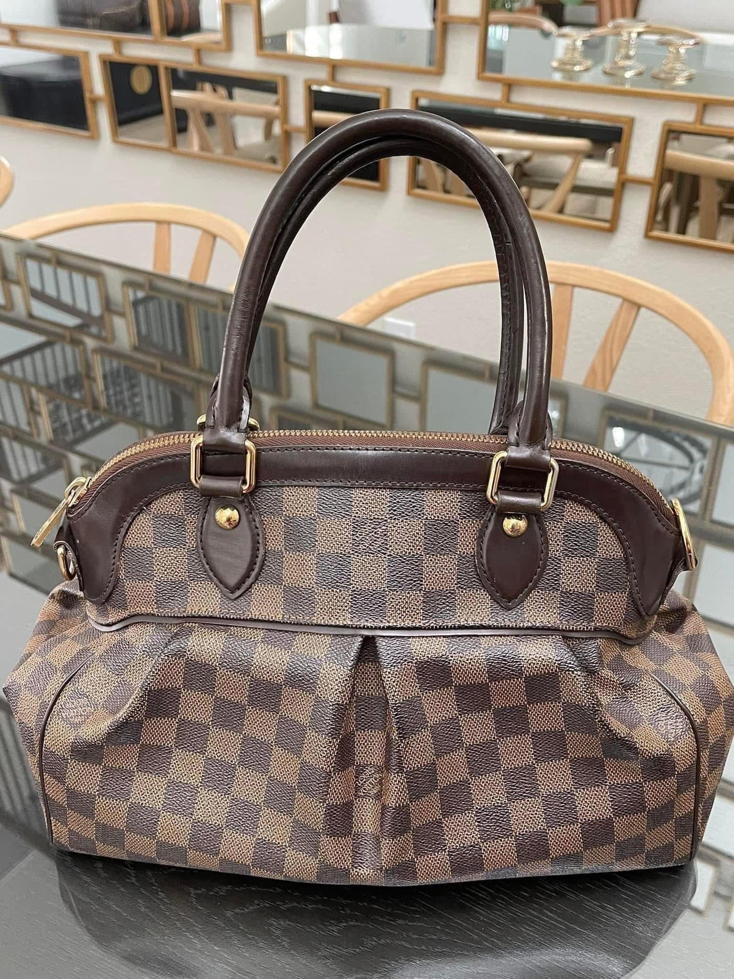 Trevi PM with Dustbag & Receipt - 📅 Year: 2008