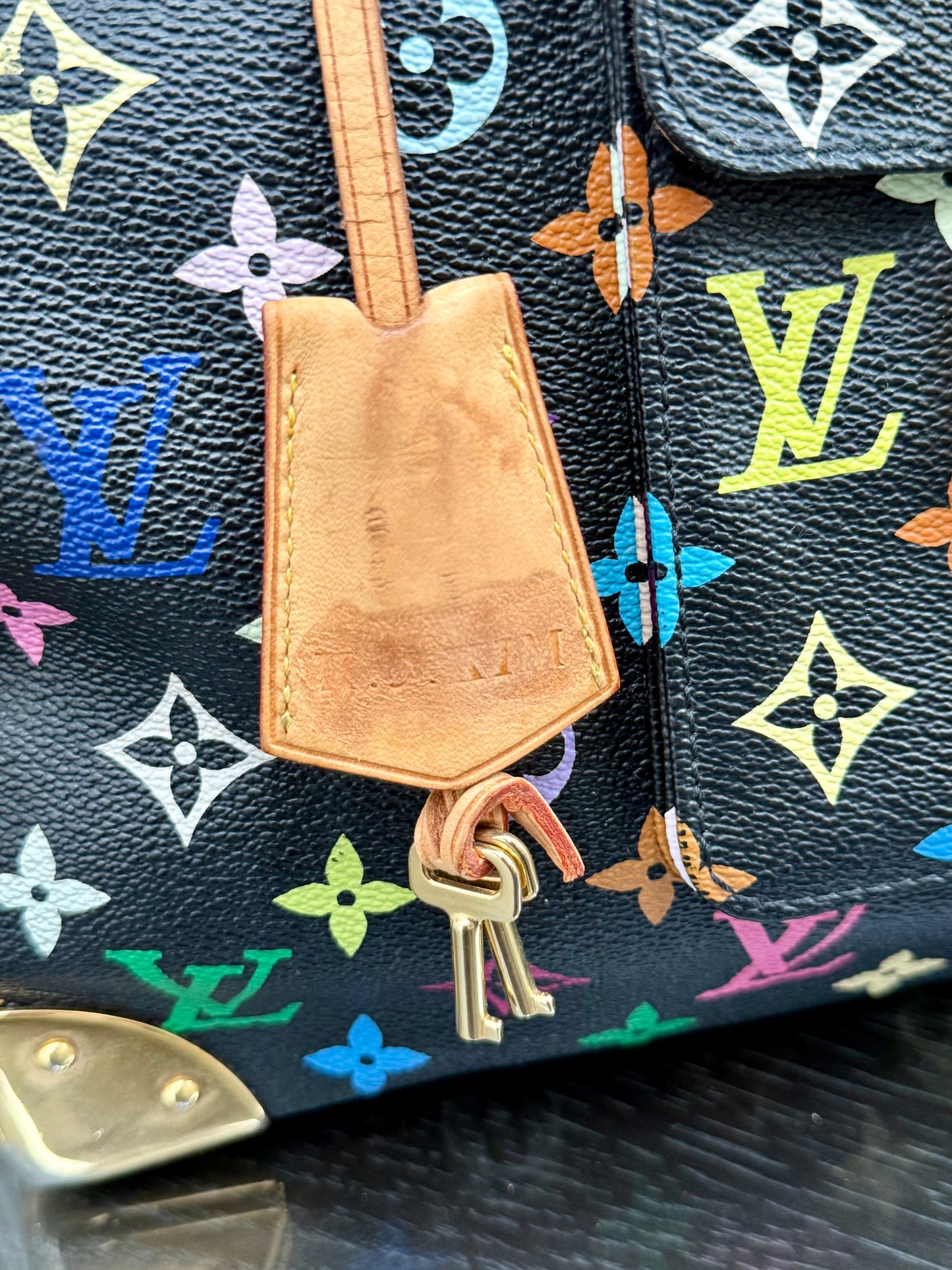 Multicolor Speedy 30 with Dustbag, Insert Organizer and twilly set 📅 Year: 2008