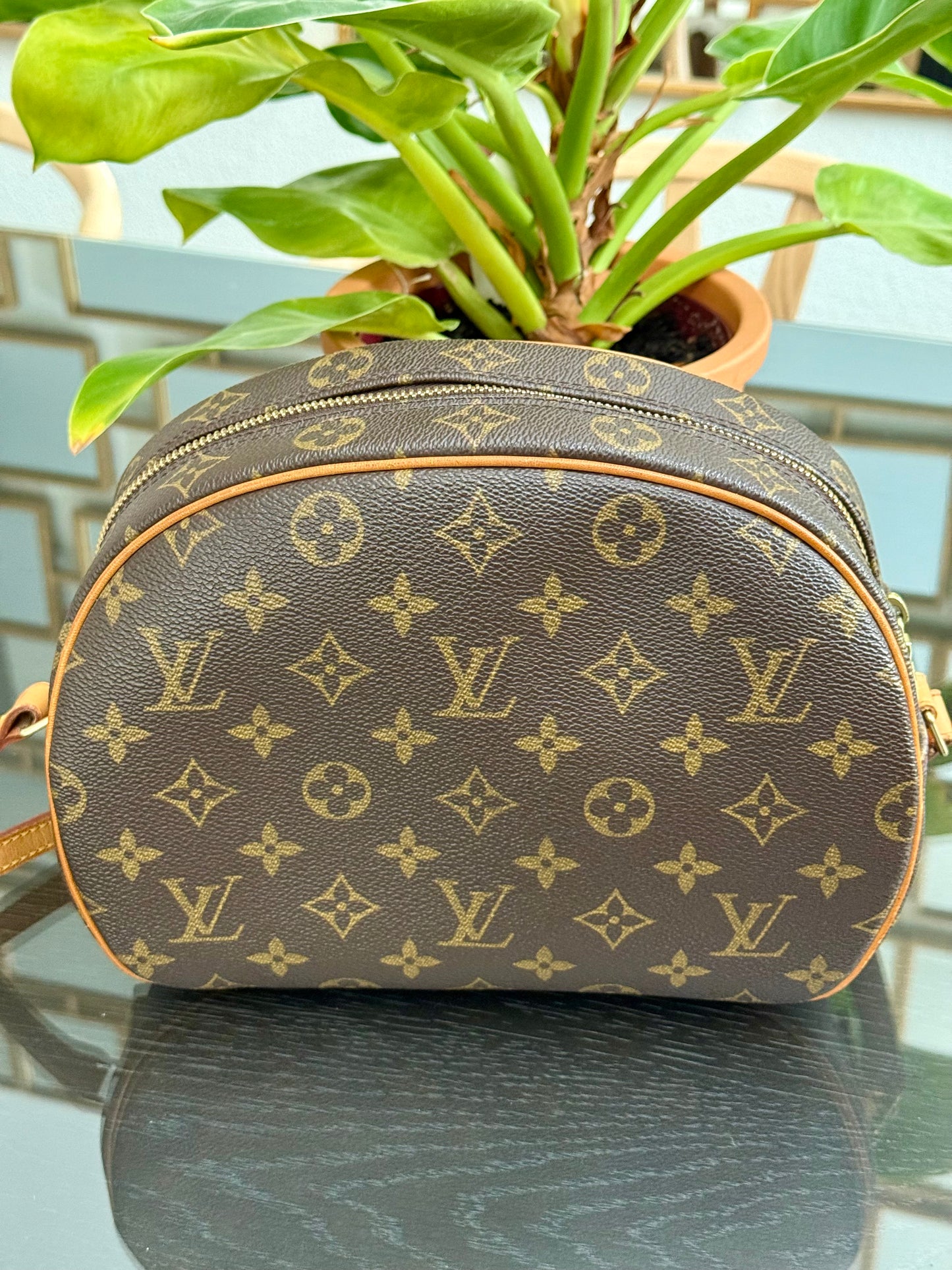 Blois Crossbody -🗓️ Year: 2000