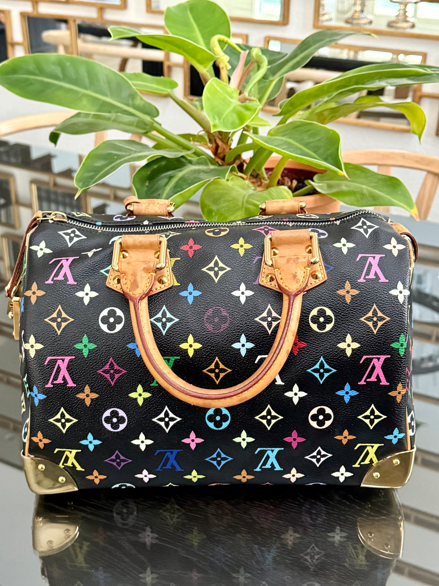 Multicolor Speedy 30 with Dustbag and twilly set 📅 Year: 2008