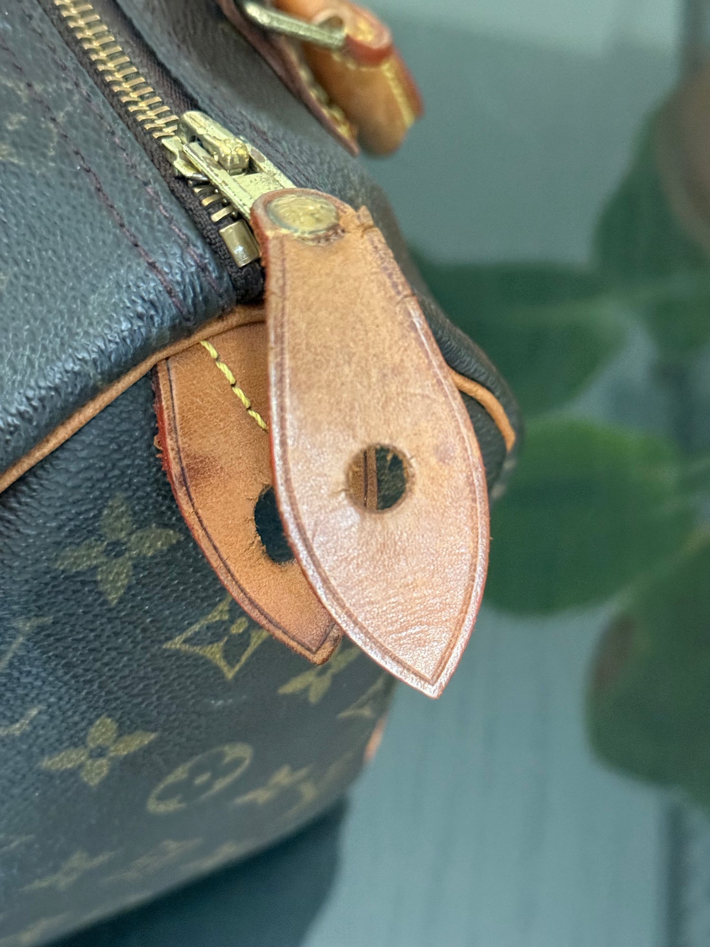 Speedy 25 in Monogram with Dustbag -🗓️ Year: 2000