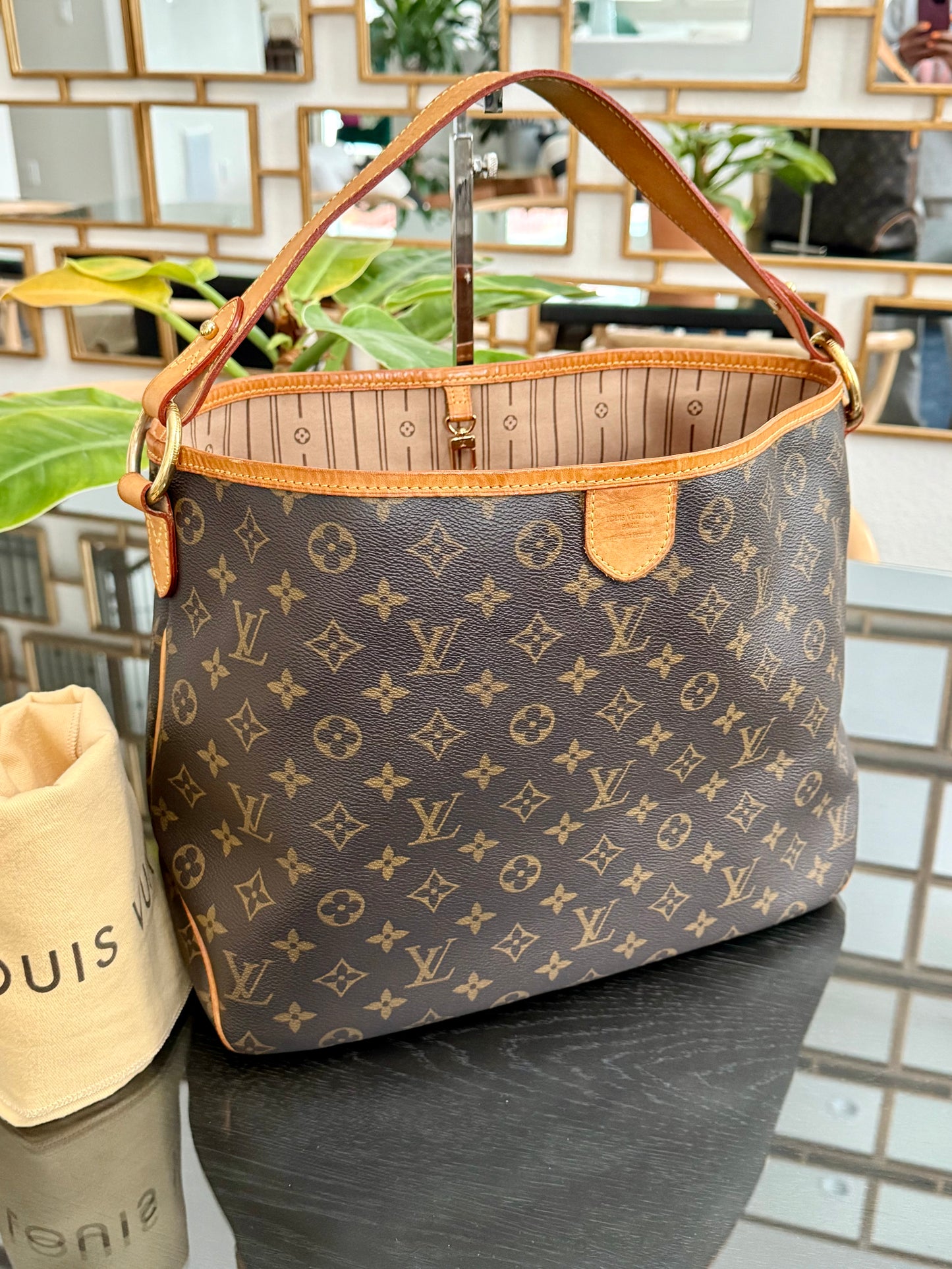 Delightful PM with Dustbag and Insert Organizer 🗓️ Year: 2012