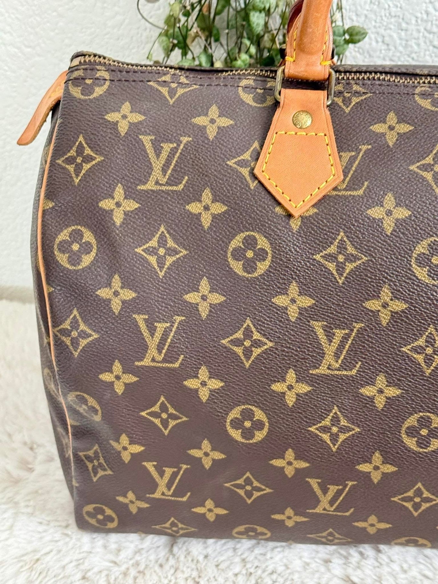 Speedy 35 with Insert Organizer - 📅 Year: 1989