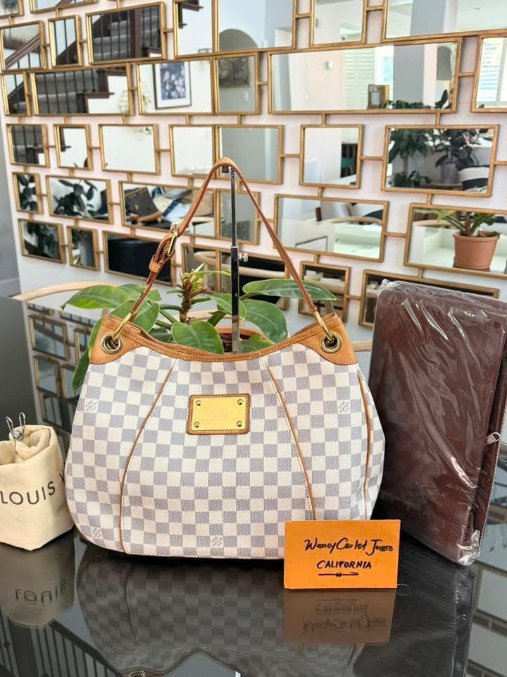 Galleria PM Azur with Dustbag and Insert Organizer 🗓️ Year: 2012