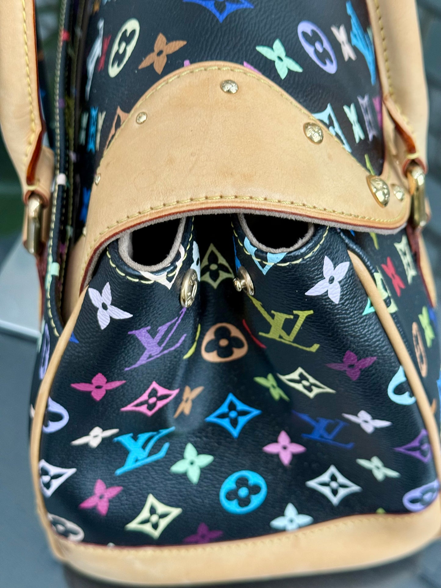 Multicolor Beverly GM with Dustbag 📅 Year: 2008