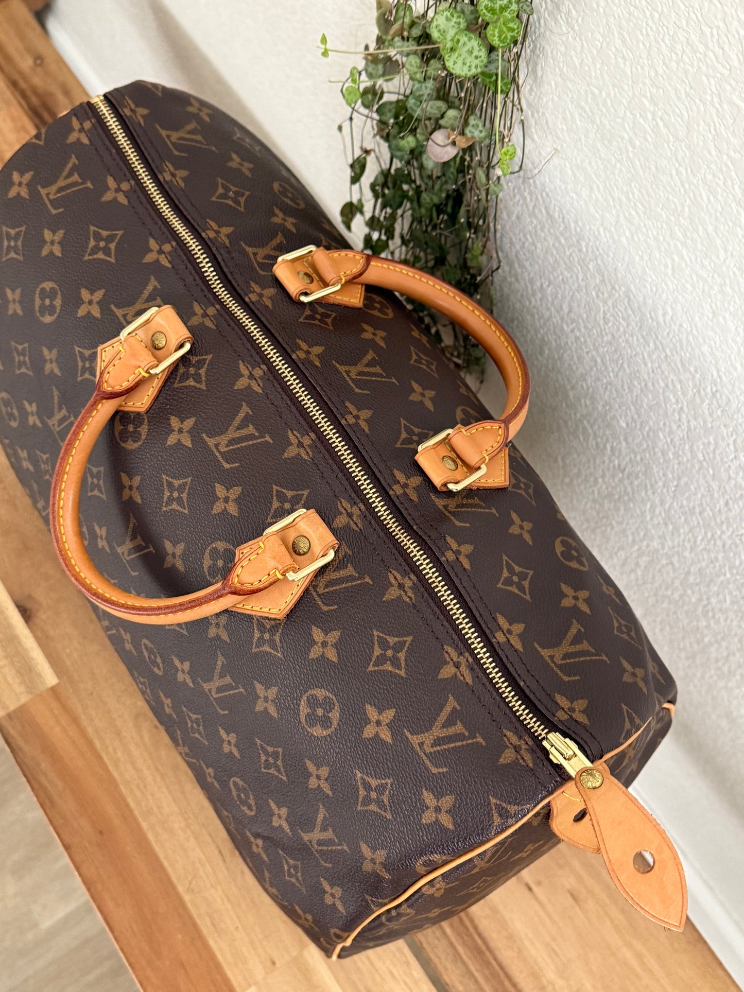 Speedy 40 - 📅 2000