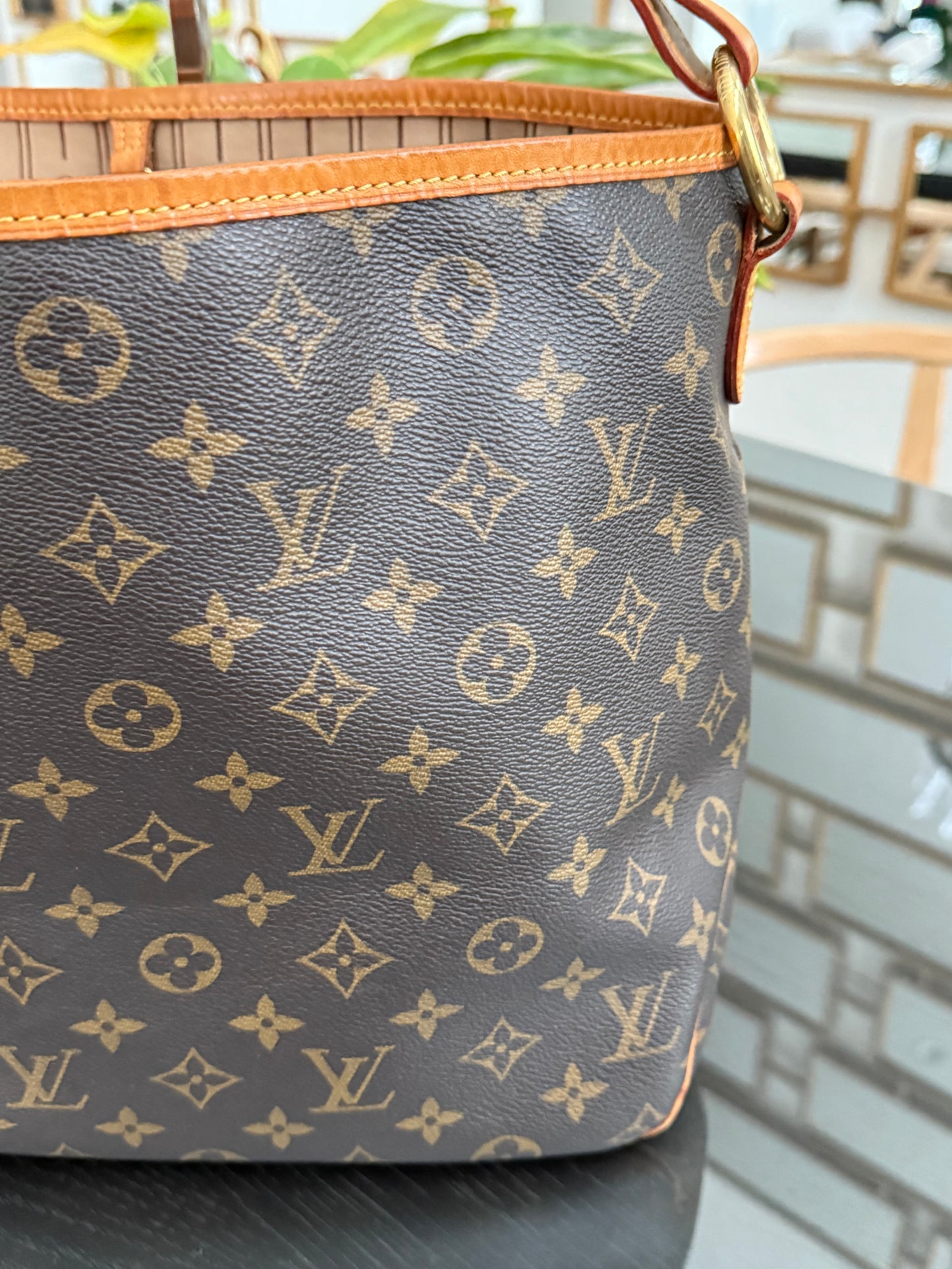 Delightful PM with Dustbag and Insert Organizer 🗓️ Year: 2012