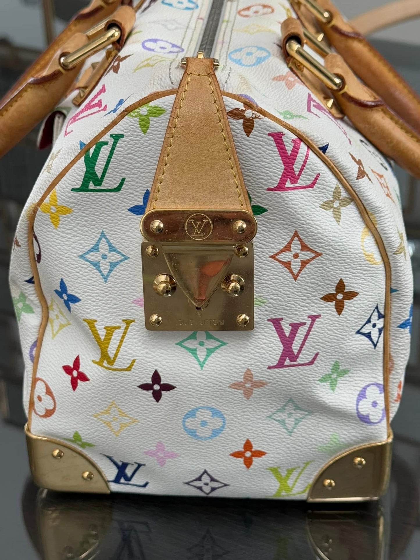 Multicolor Speedy 30 with Dustbag and Insert Organizer 📅 Year: 2006