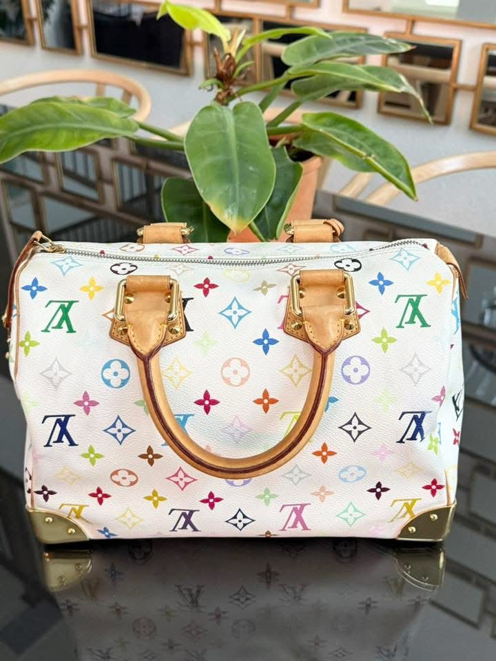 Multicolor Speedy 30 with Dustbag, Insert Organizer and generic twilly set 📅 Year: 2005