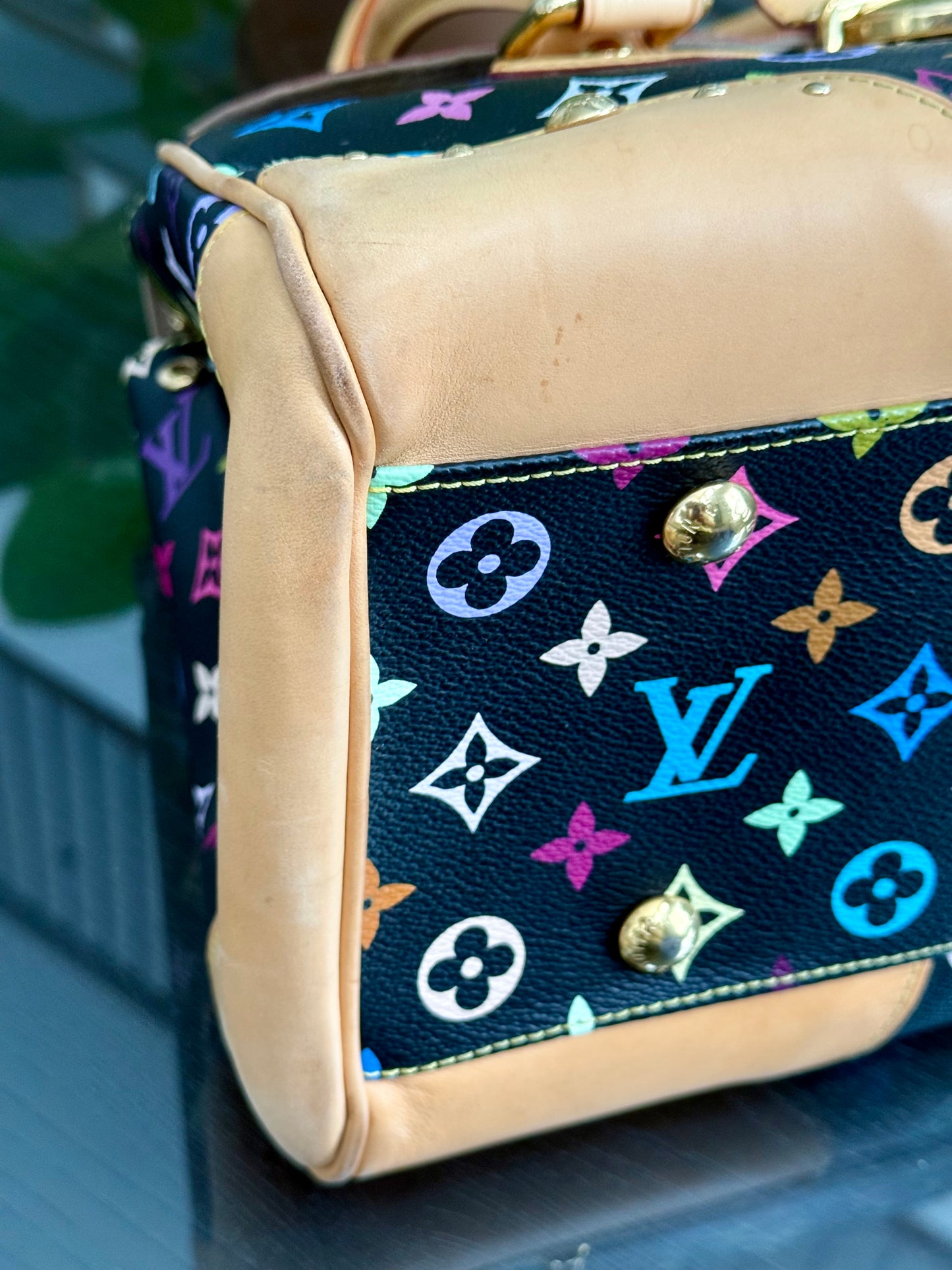 Multicolor Beverly GM with Dustbag 📅 Year: 2008