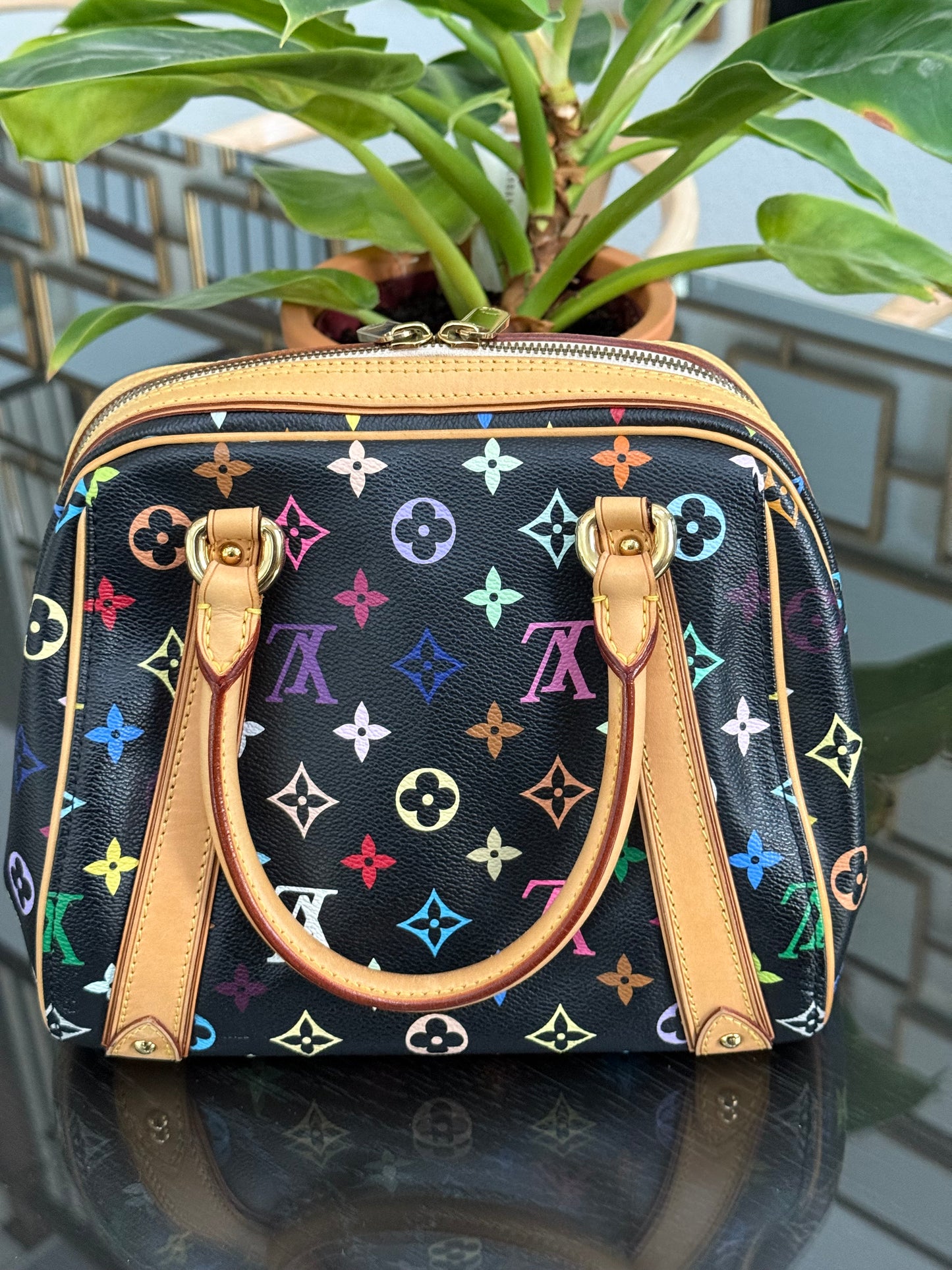 Multicolor Priscilla with Dustbag🌺📅 Year: 2008