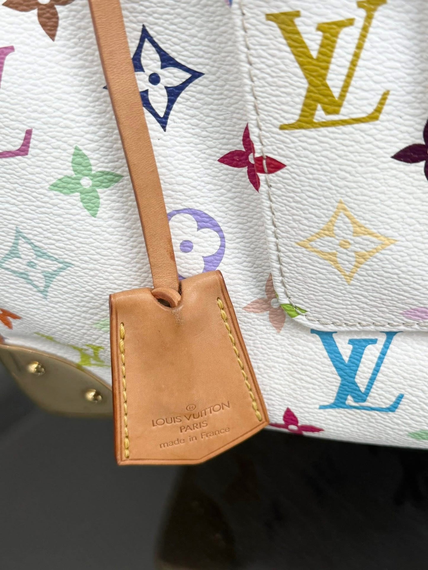 Multicolor Speedy 30 with Dustbag, twilly set and Insert Organizer 📅 Year: 2007
