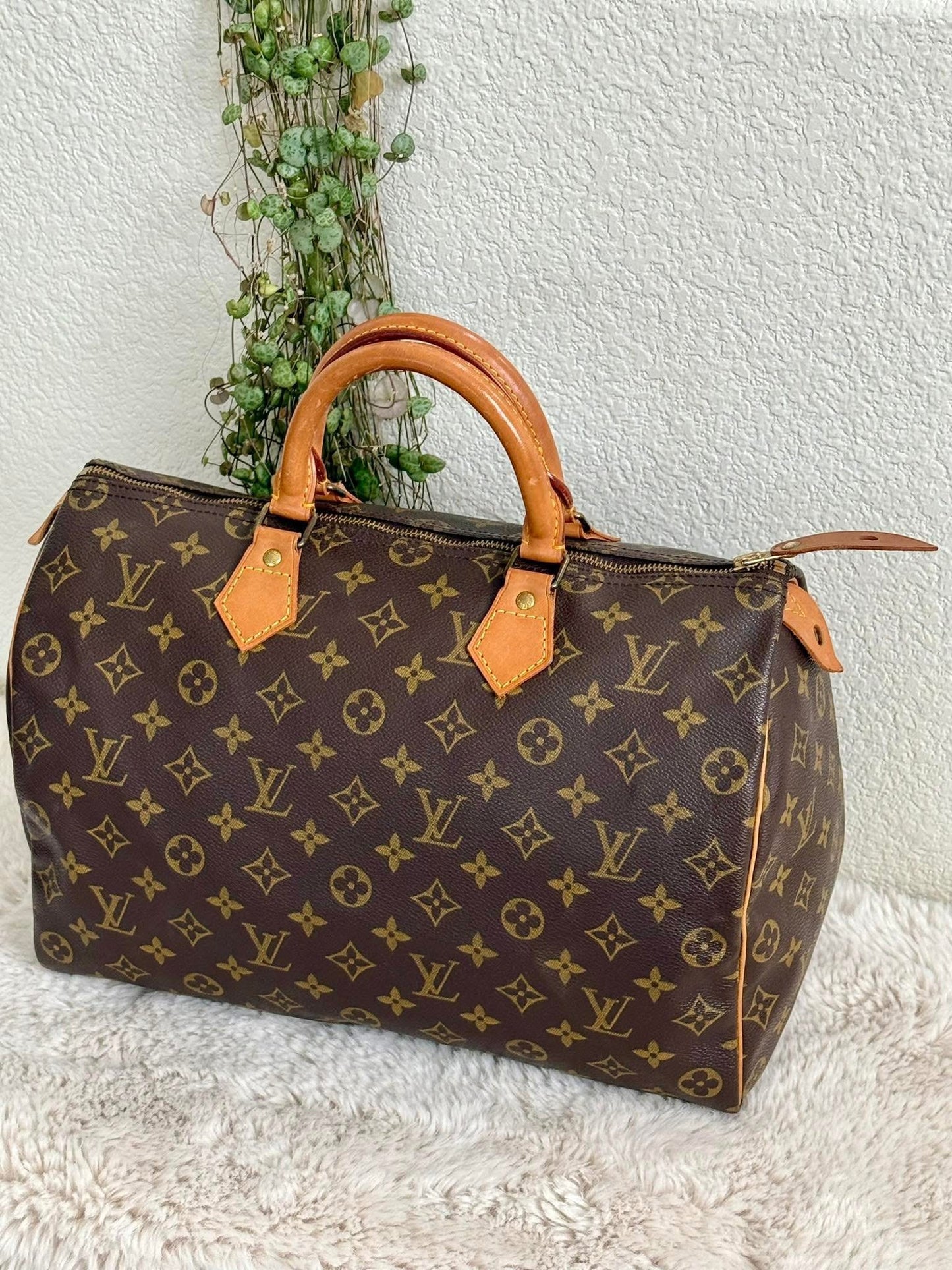Speedy 35 with Insert Organizer - 📅 Year: 1989