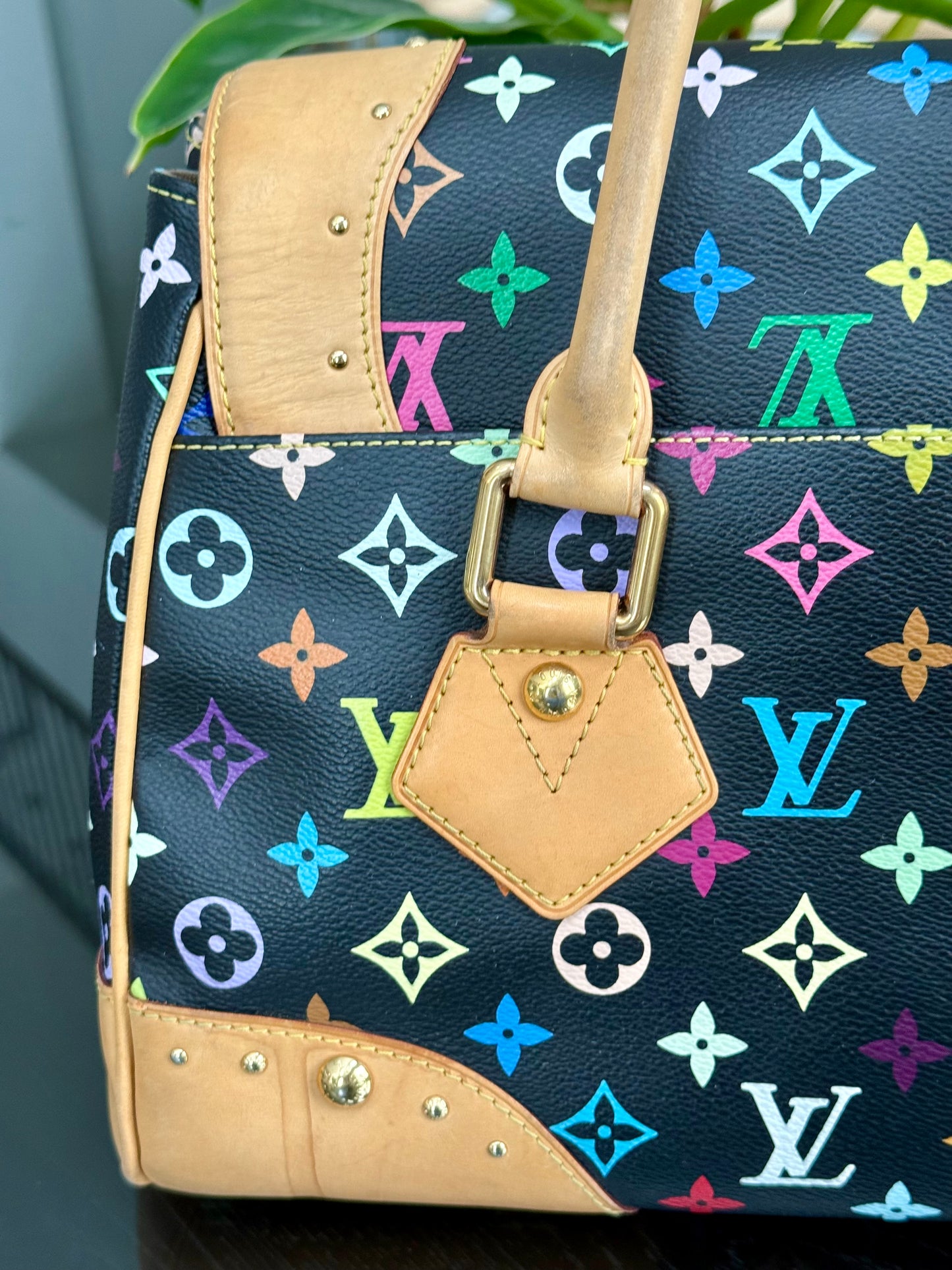 Multicolor Beverly GM with Dustbag 📅 Year: 2008
