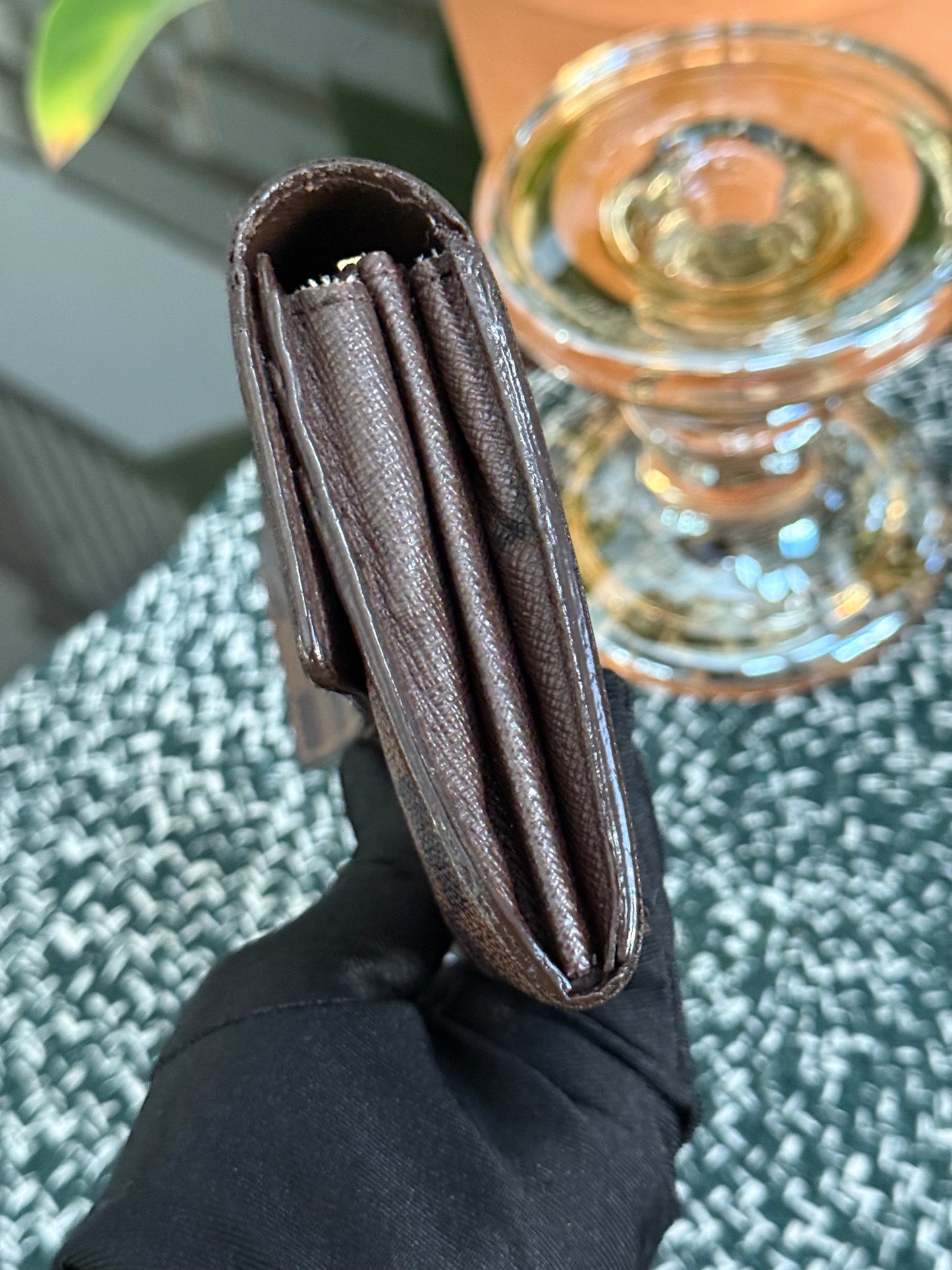 Sarah Wallet in DE with 10 Cardholders 🗓️ Year: 2009