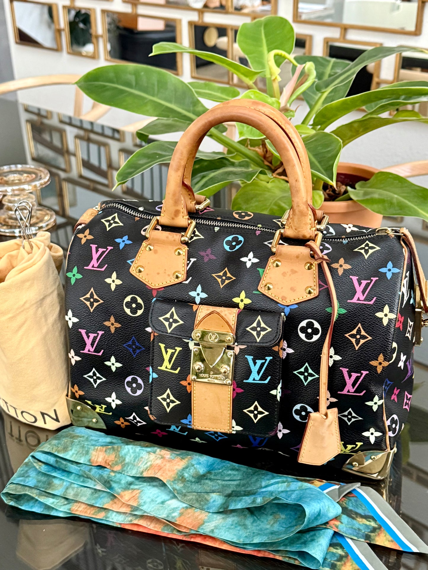 Multicolor Speedy 30 with Dustbag and twilly set 📅 Year: 2008