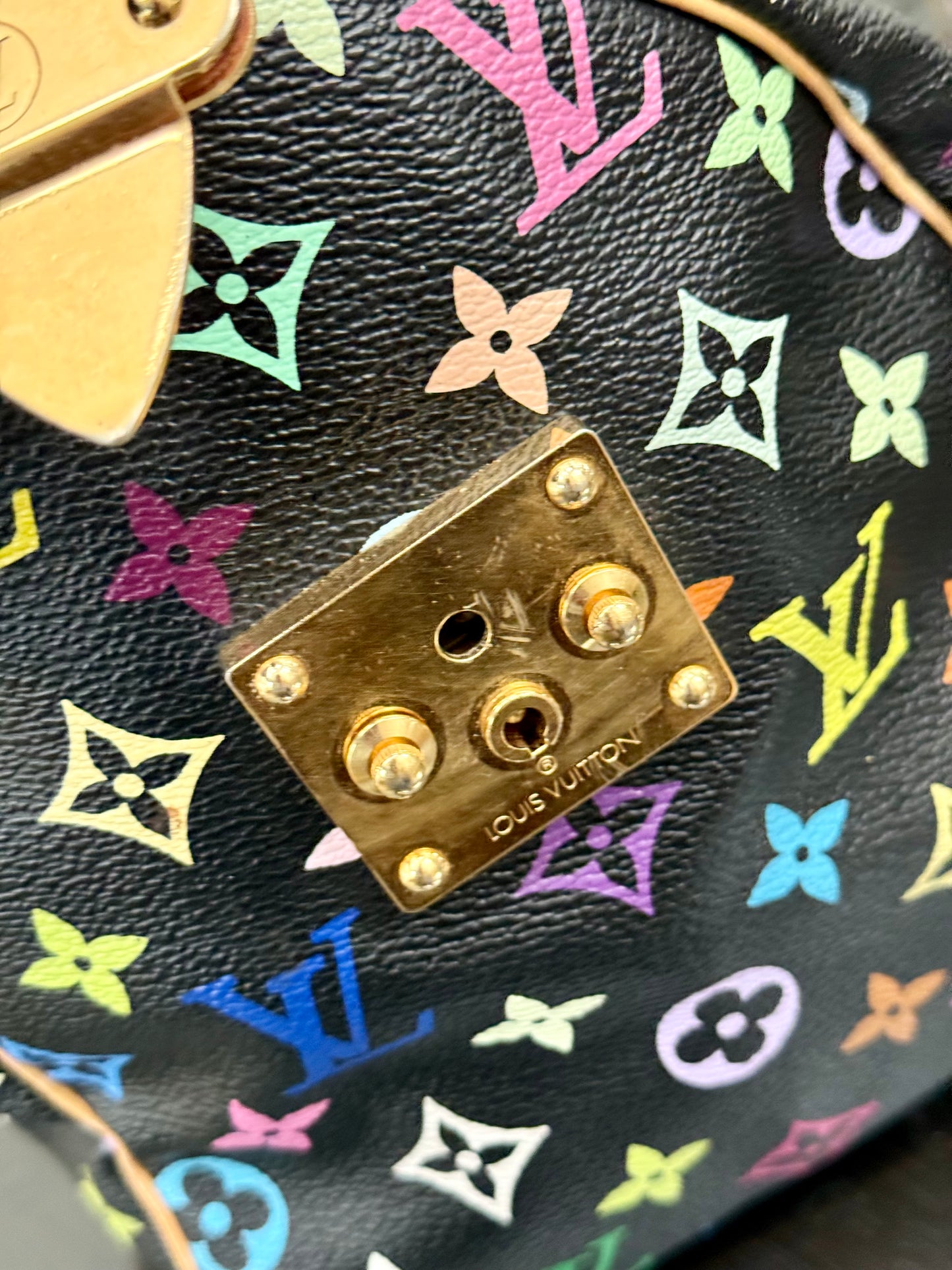 Multicolor Speedy 30 with Dustbag, Insert Organizer and twilly set 📅 Year: 2008