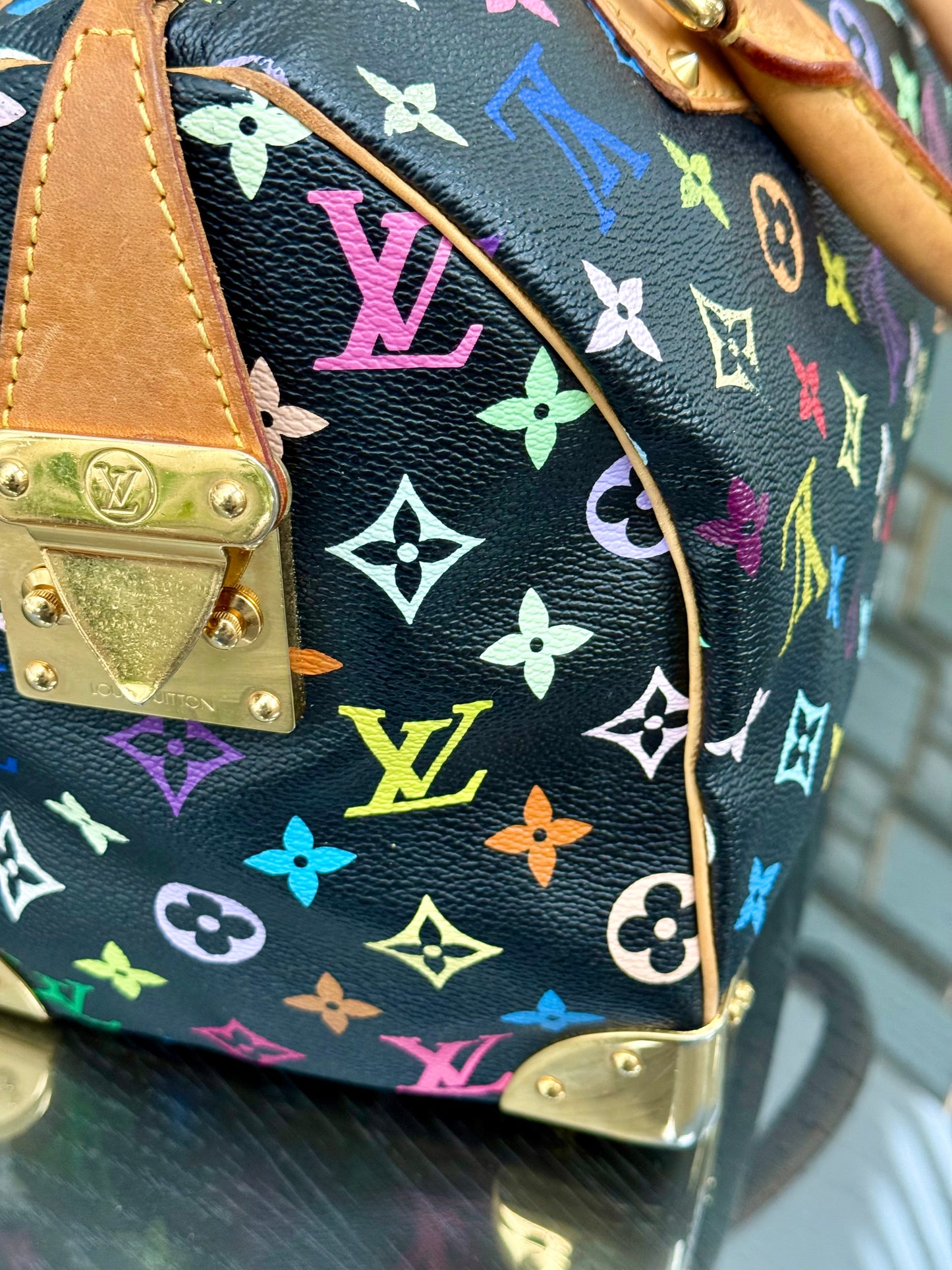 Multicolor Speedy 30 with Dustbag, Insert Organizer and twilly set 📅 Year: 2008