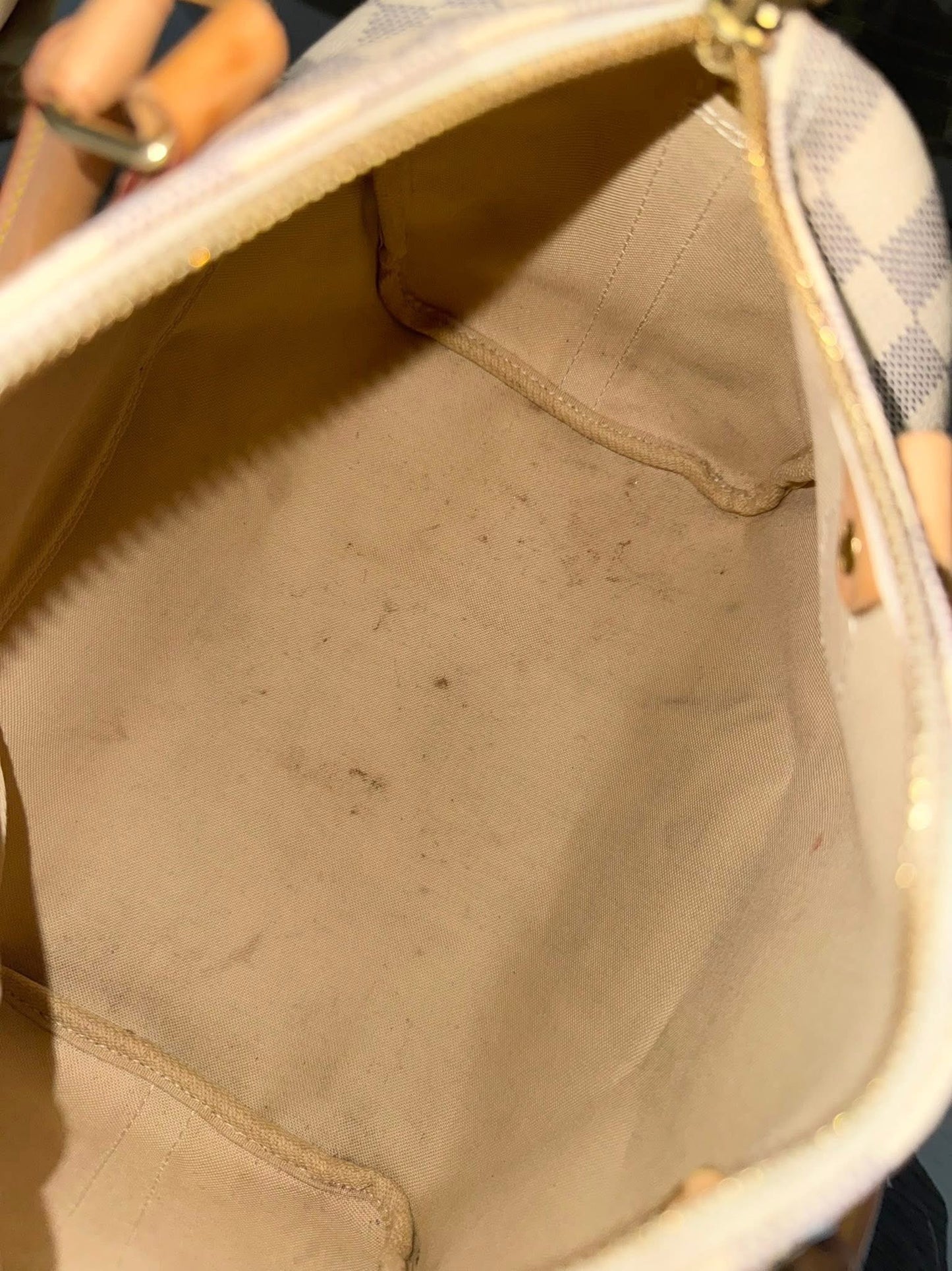 Speedy 25 Bandoulier in Azur with Original Strap, Dustbag and Insert Organizer -🗓️ Year: 2013