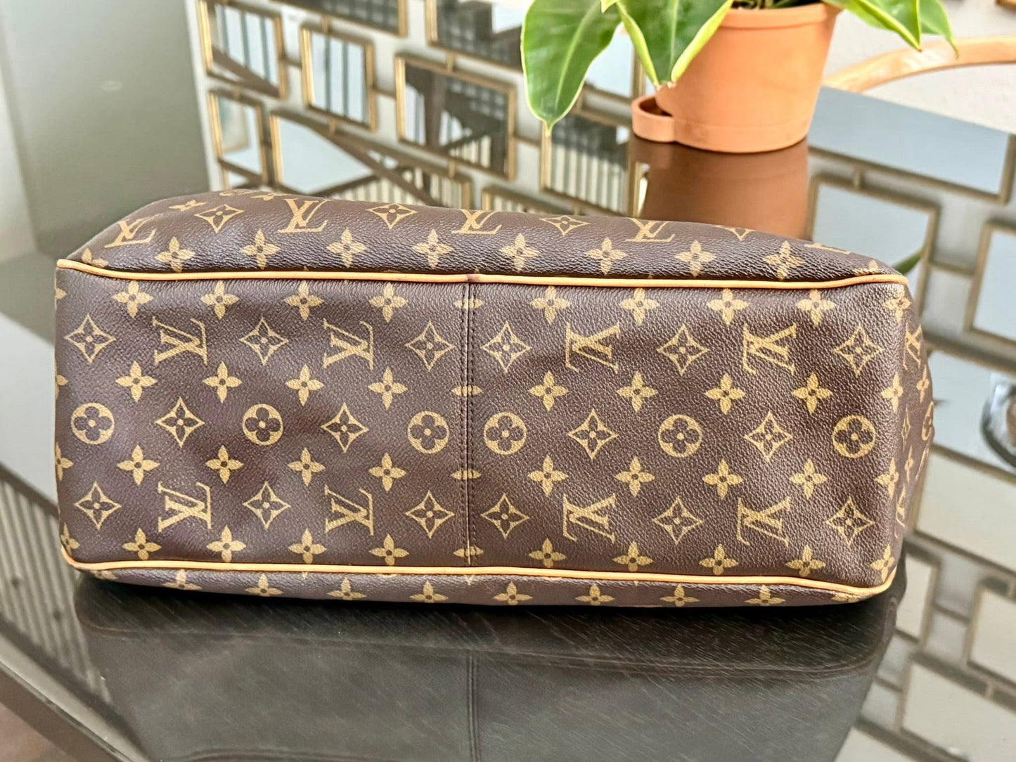 Delightful MM with Dustbag and Insert Organizer 📅 Year: 2011