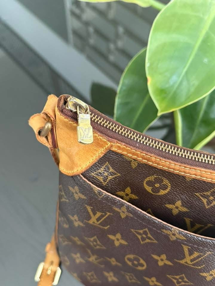 Odeon PM Crossbody -🗓️ Year: 2011
