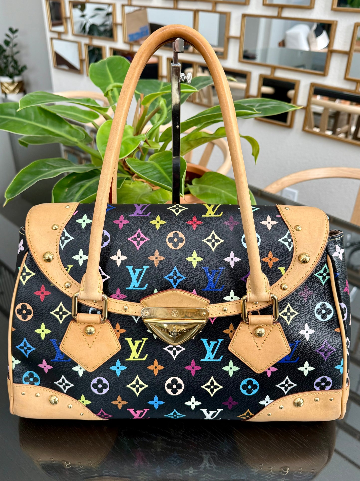 Multicolor Beverly GM with Dustbag 📅 Year: 2008