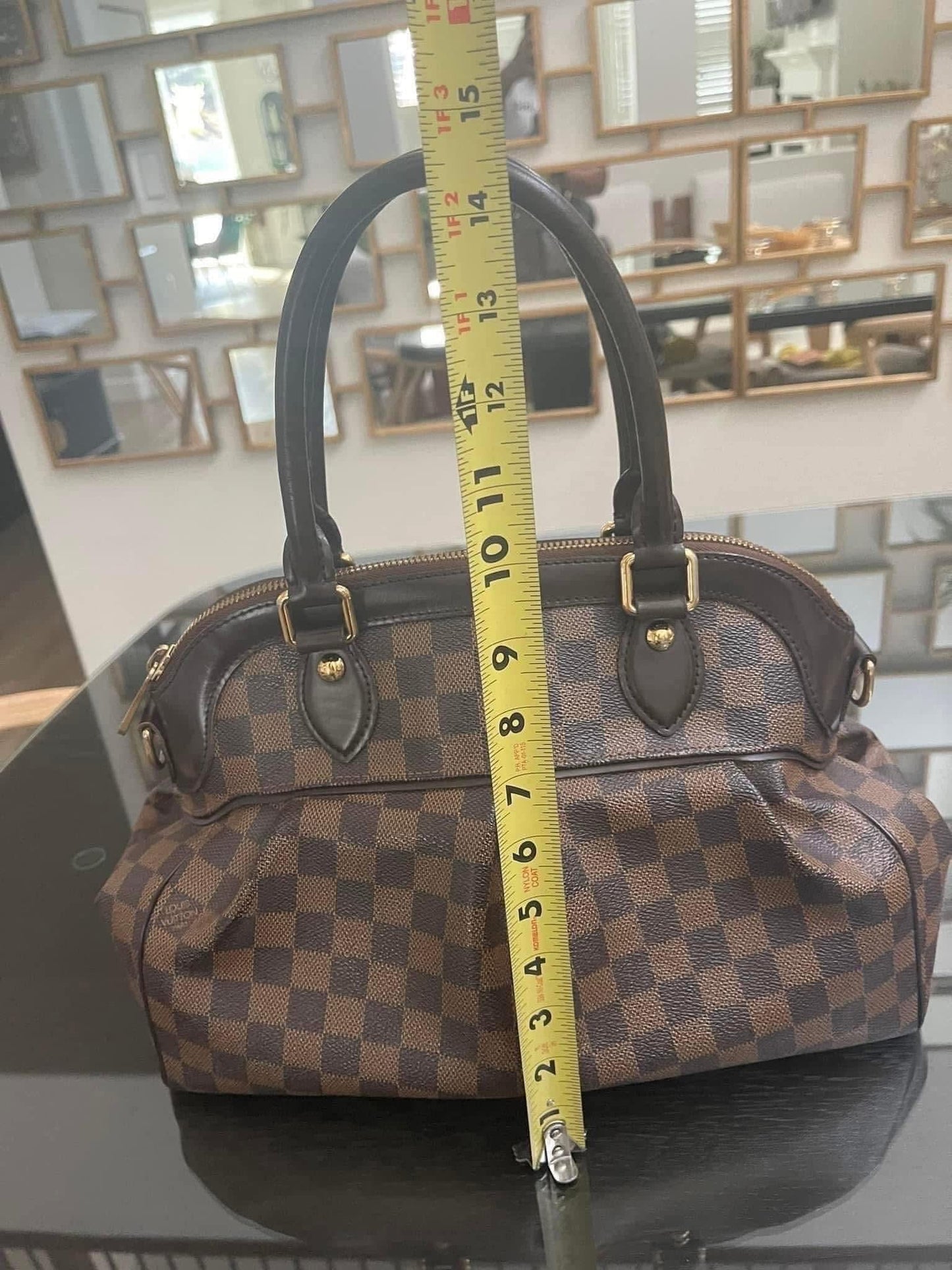 Trevi PM with Dustbag & Receipt - 📅 Year: 2008