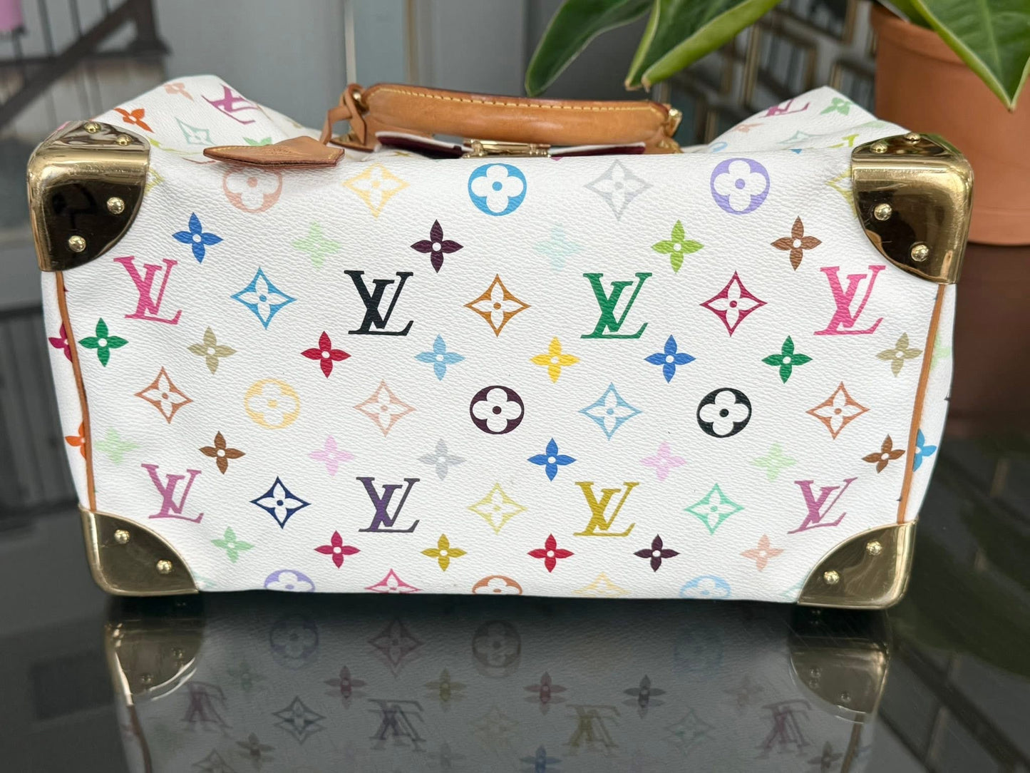 Multicolor Speedy 30 with Dustbag, twilly set and Insert Organizer 📅 Year: 2007