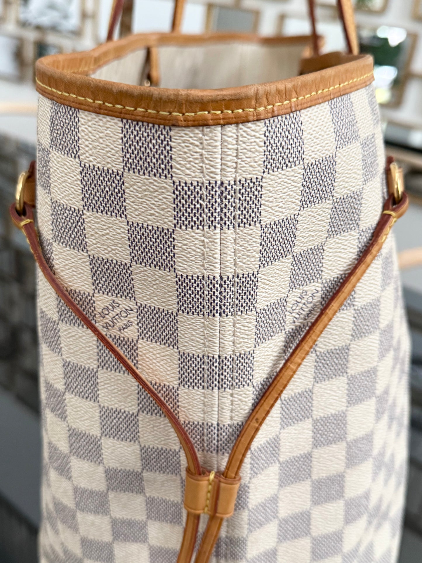 Neverfull GM in Azur with Dustbag Insert Organizer 🗓️ Year: 2011