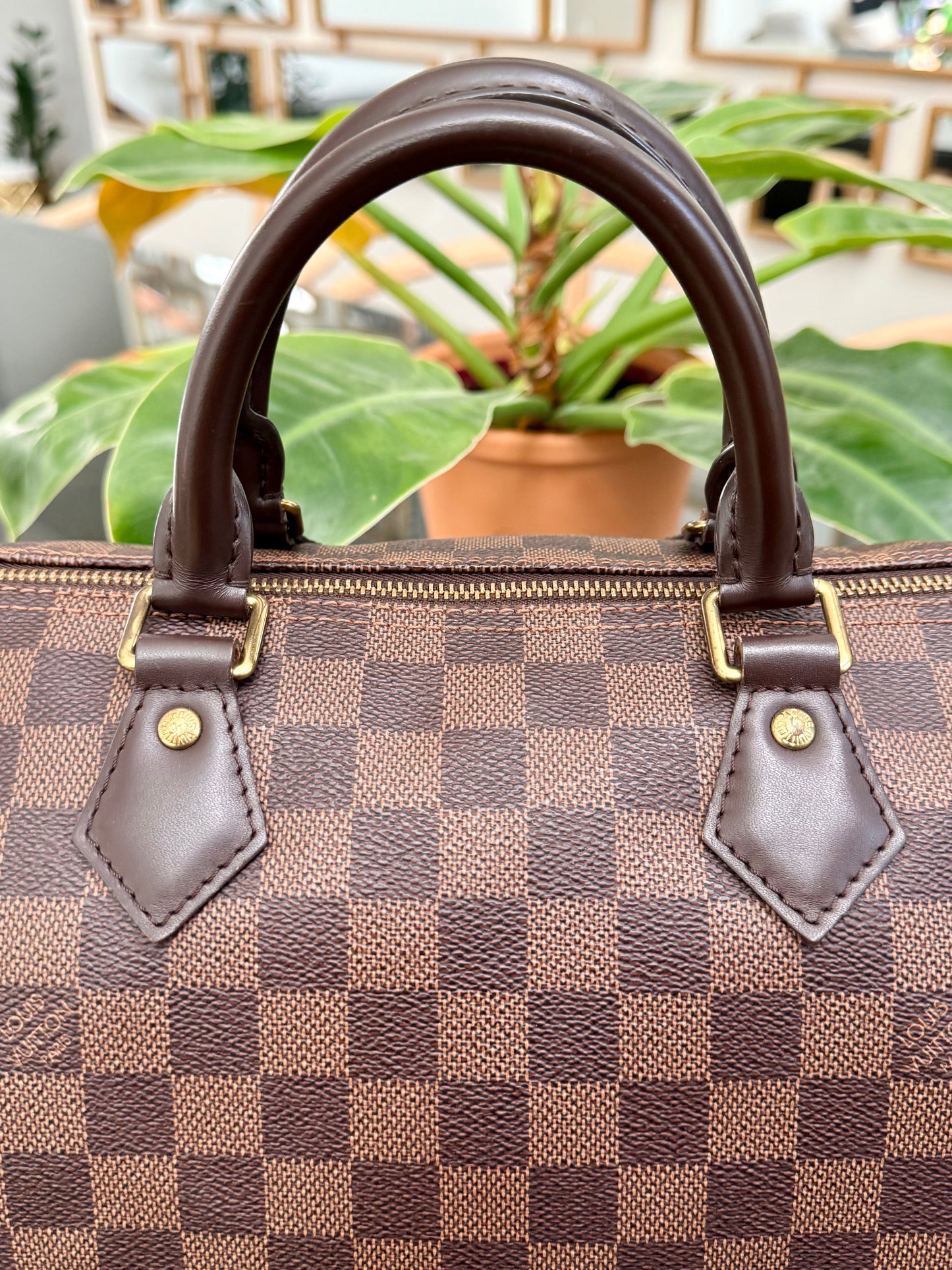 Speedy 30 in DE with 🔐 lock, Key and Dustbag -🗓️ Year: 2017