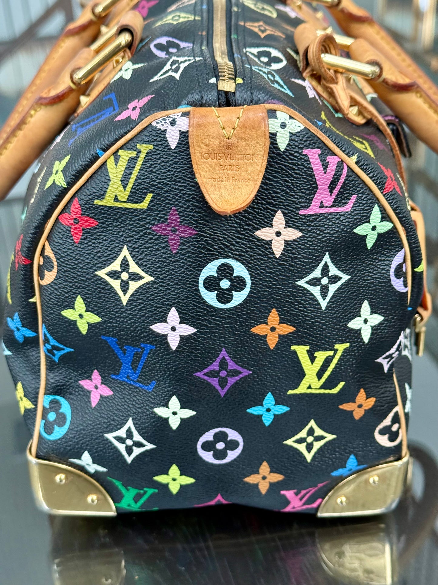 Multicolor Speedy 30 with Dustbag, Insert Organizer and twilly set 📅 Year: 2008