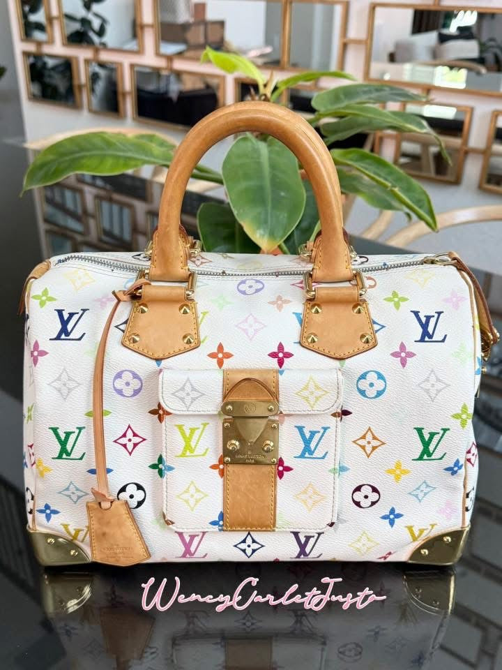 Multicolor Speedy 30 with Dustbag, Insert Organizer and generic twilly set 📅 Year: 2005