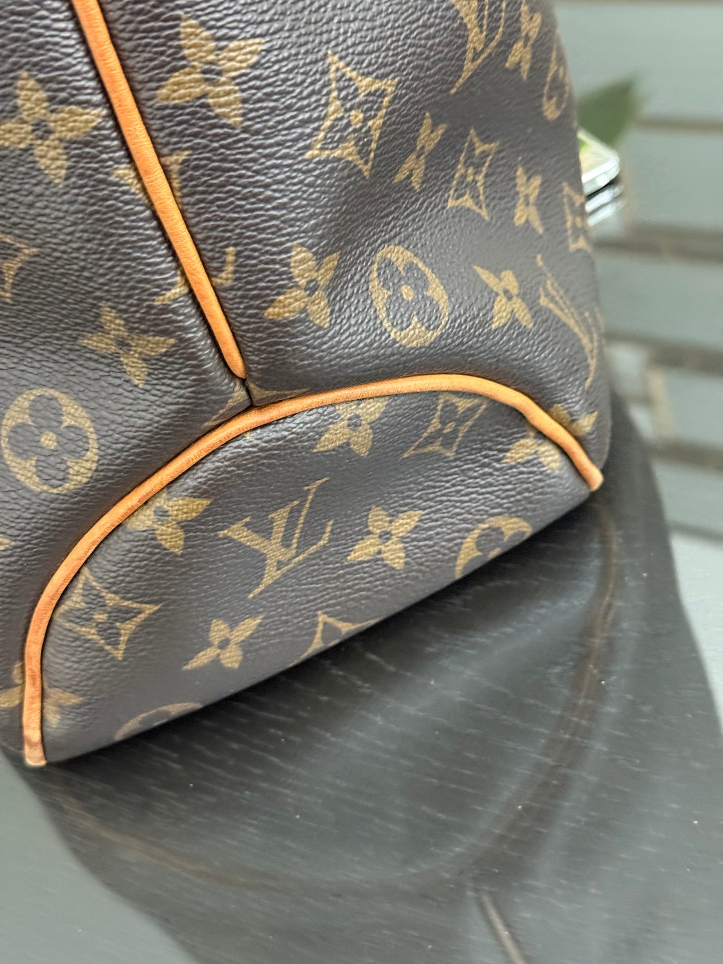 Delightful PM with Dustbag and Insert Organizer 🗓️ Year: 2012