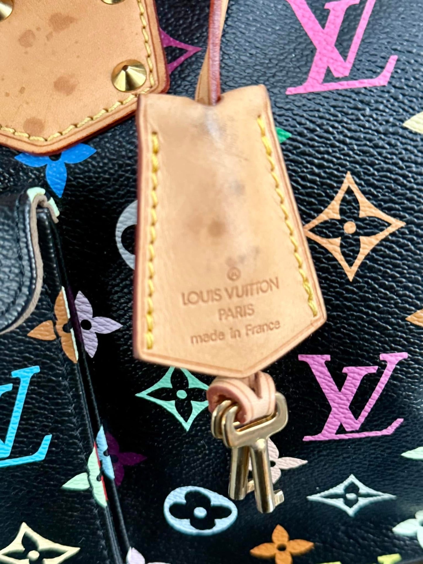 Multicolor Speedy 30 with Dustbag and generic twilly set 📅 Year: 2008