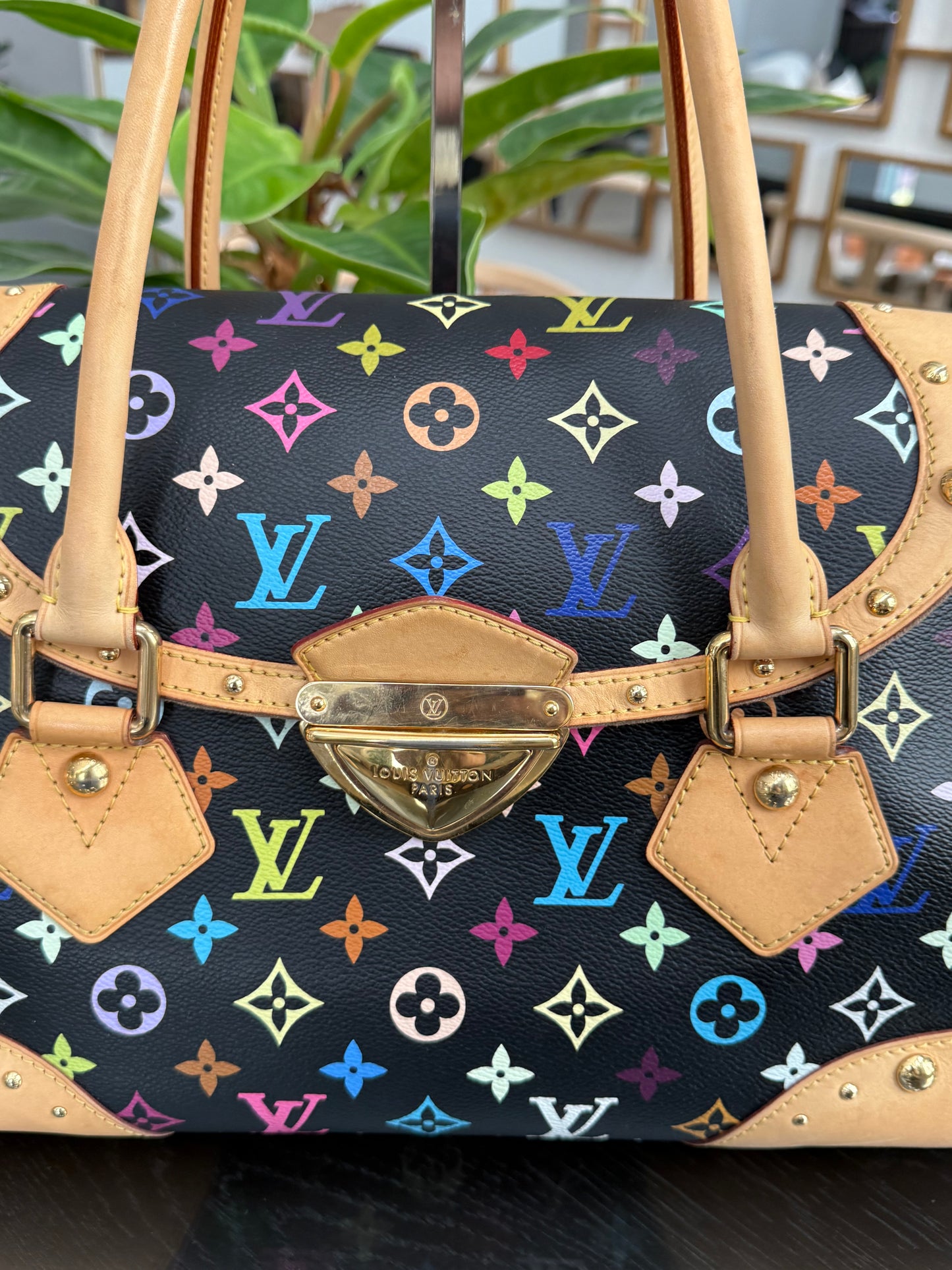 Multicolor Beverly GM with Dustbag 📅 Year: 2008