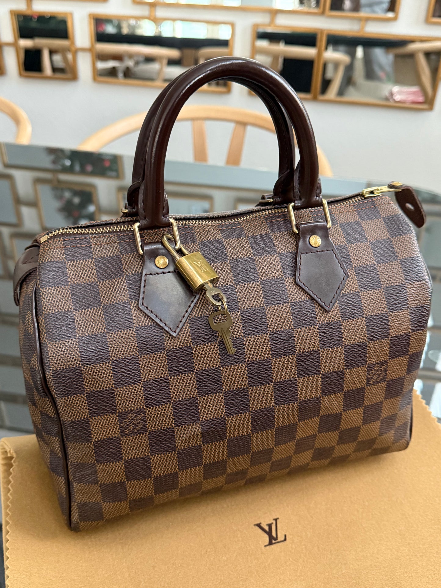 Speedy 25 De with 🔐 Lock, Key, Dustbag and Insert Organizer - Year: 2008