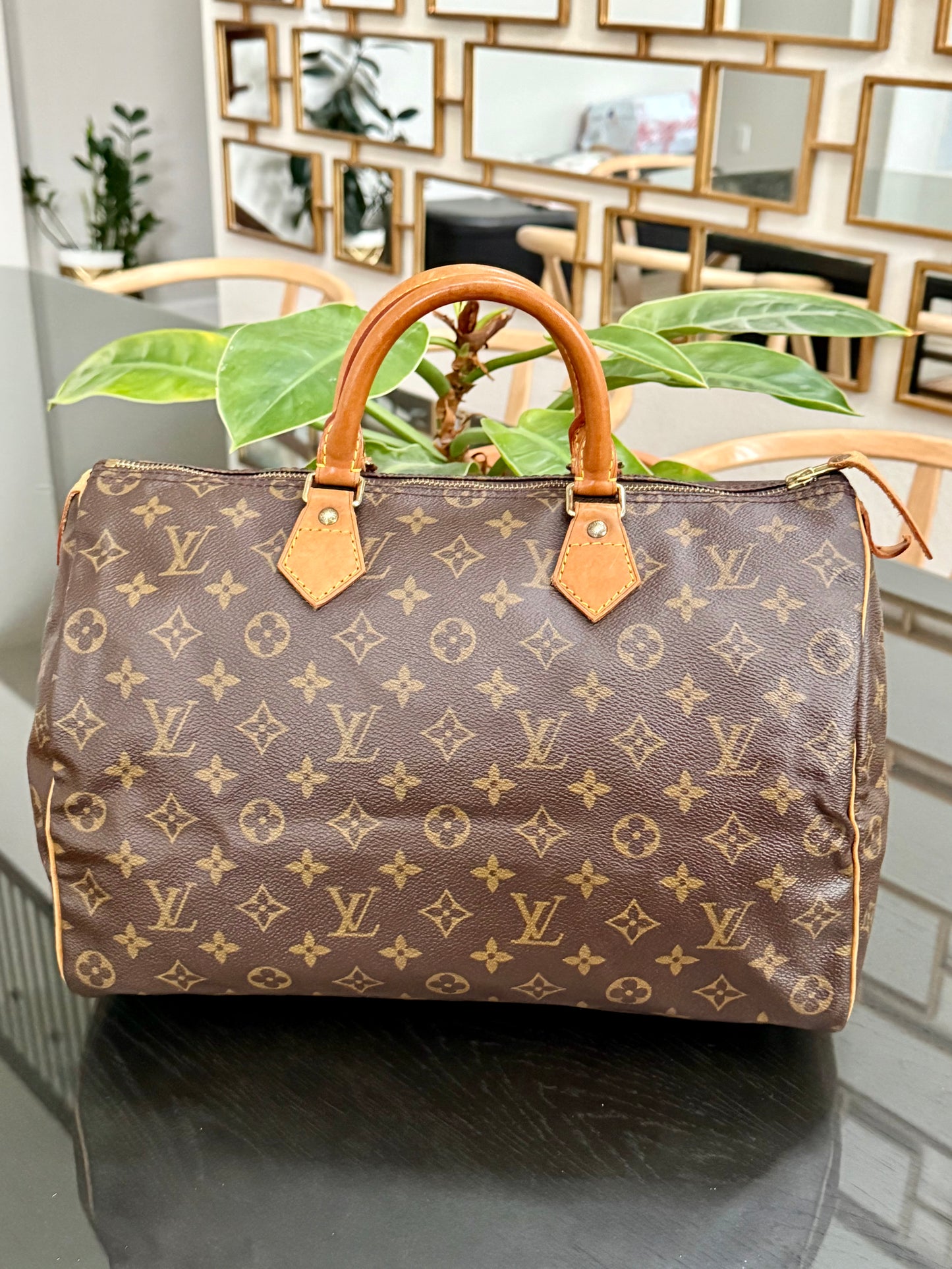 Speedy 35 -🗓️ Year: 1993