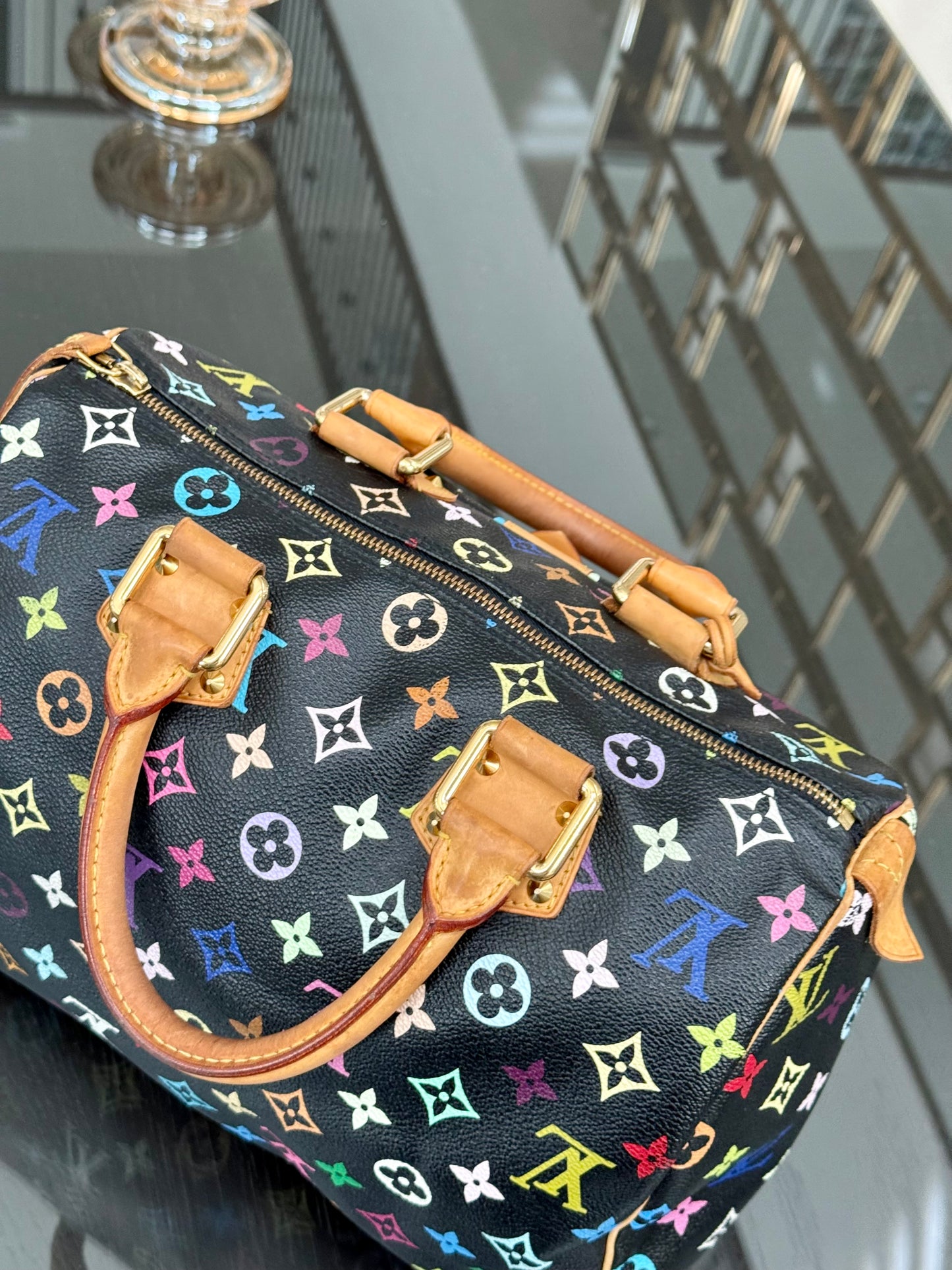 Multicolor Speedy 30 with Dustbag, Insert Organizer and twilly set 📅 Year: 2008