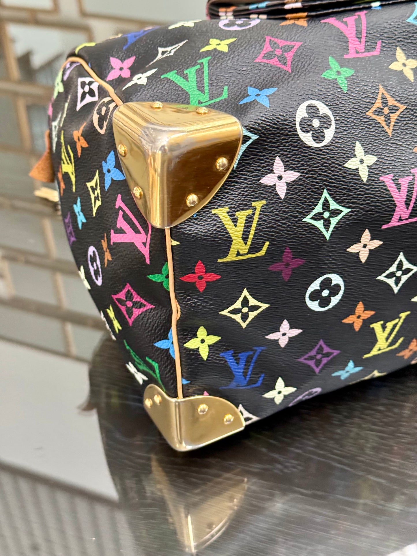 Multicolor Speedy 30 with Dustbag, Insert Organizer and twilly set 📅 Year: 2008