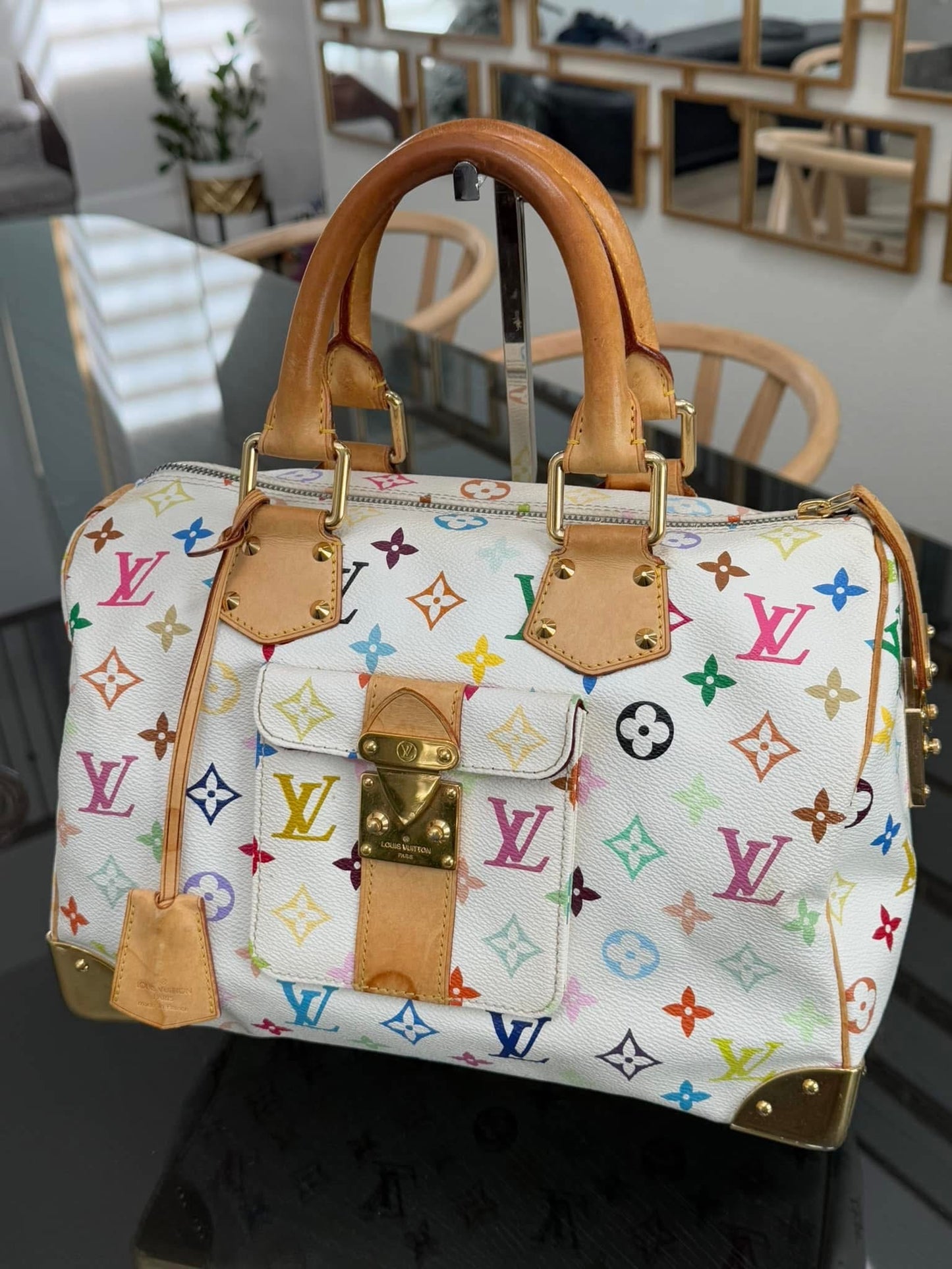 Multicolor Speedy 30 with Dustbag and Insert Organizer 📅 Year: 2006