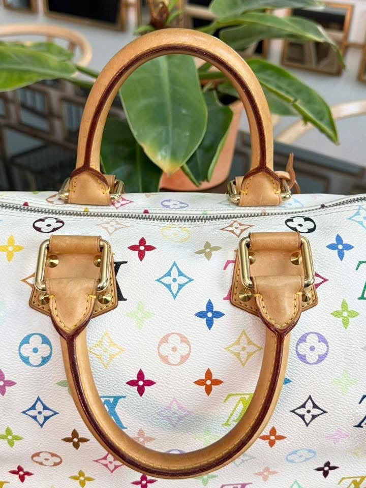 Multicolor Speedy 30 with Dustbag, Insert Organizer and generic twilly set 📅 Year: 2005