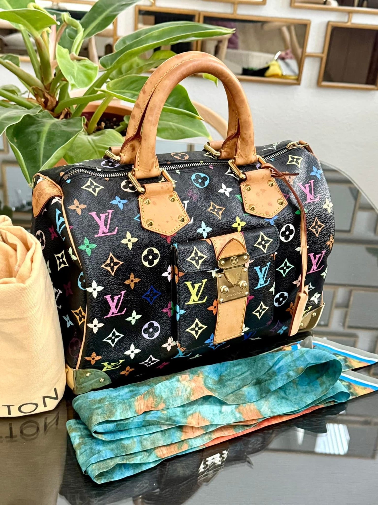 Multicolor Speedy 30 with Dustbag and generic twilly set 📅 Year: 2008