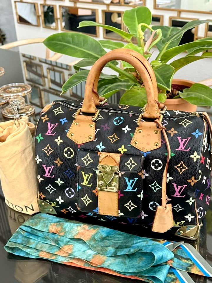 Multicolor Speedy 30 with Dustbag and generic twilly set 📅 Year: 2008