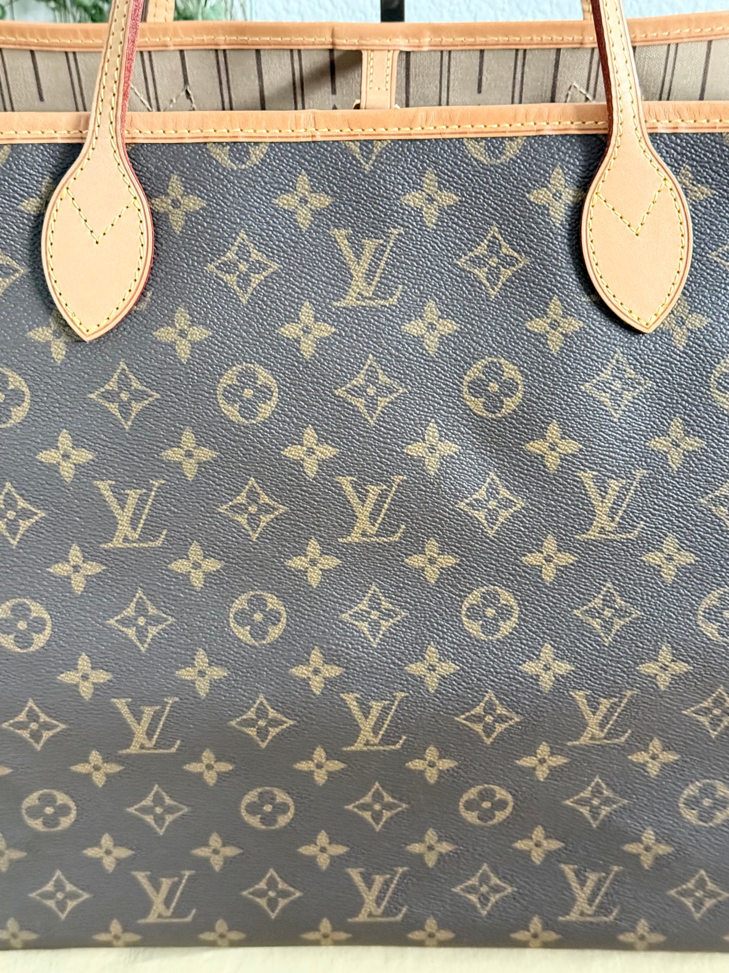 Neverfull GM with Dustbag and Insert Organizer -🗓️ Year: 2010