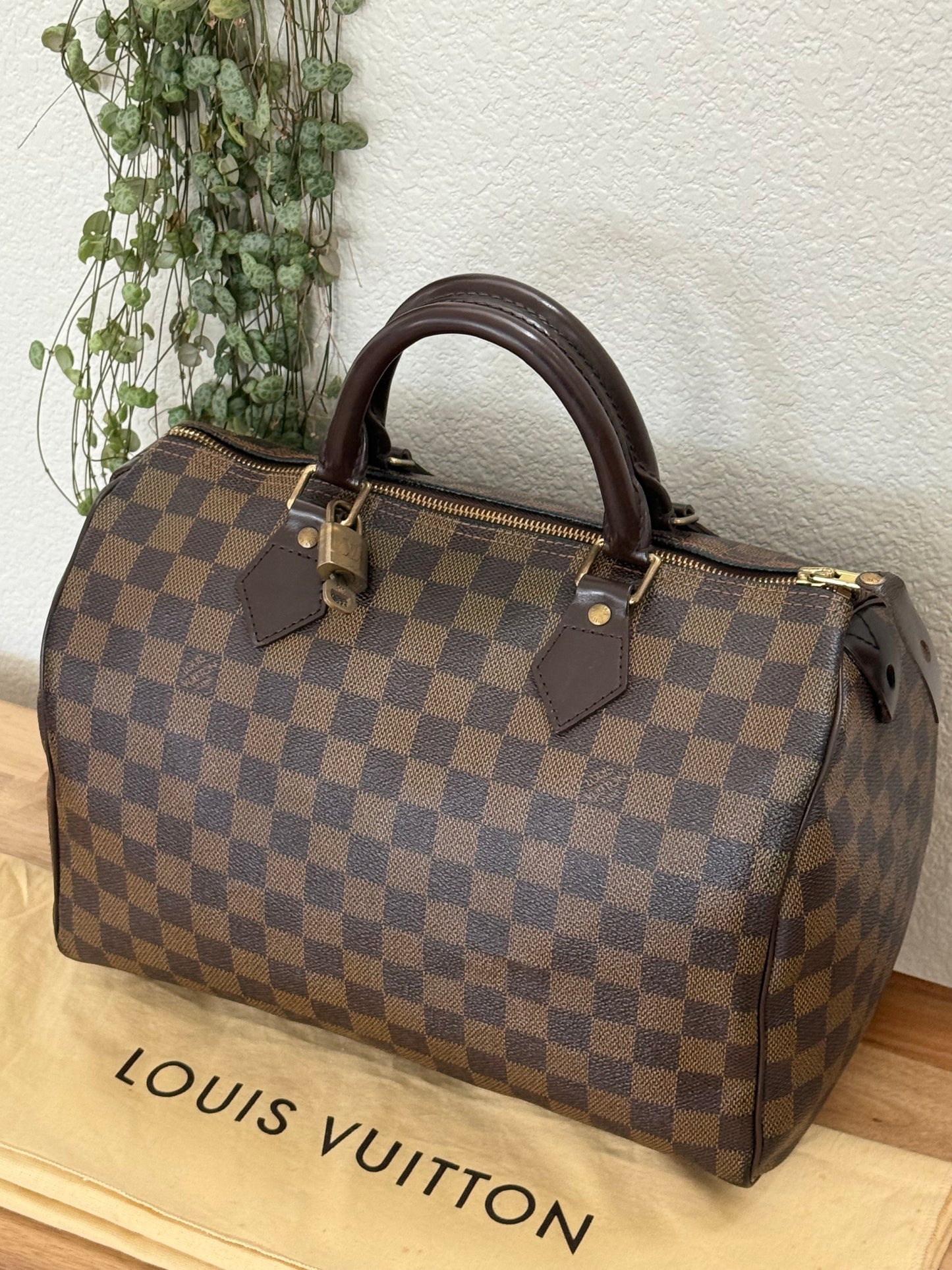 Speedy 30 in DE with 🔐 Lock & Key and Dustbag - 📅 Year: 2008