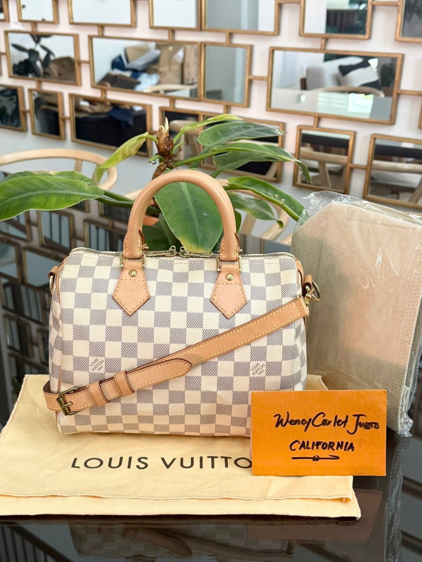 Speedy 25 Bandoulier in Azur with Original Strap, Dustbag and Insert Organizer -🗓️ Year: 2013