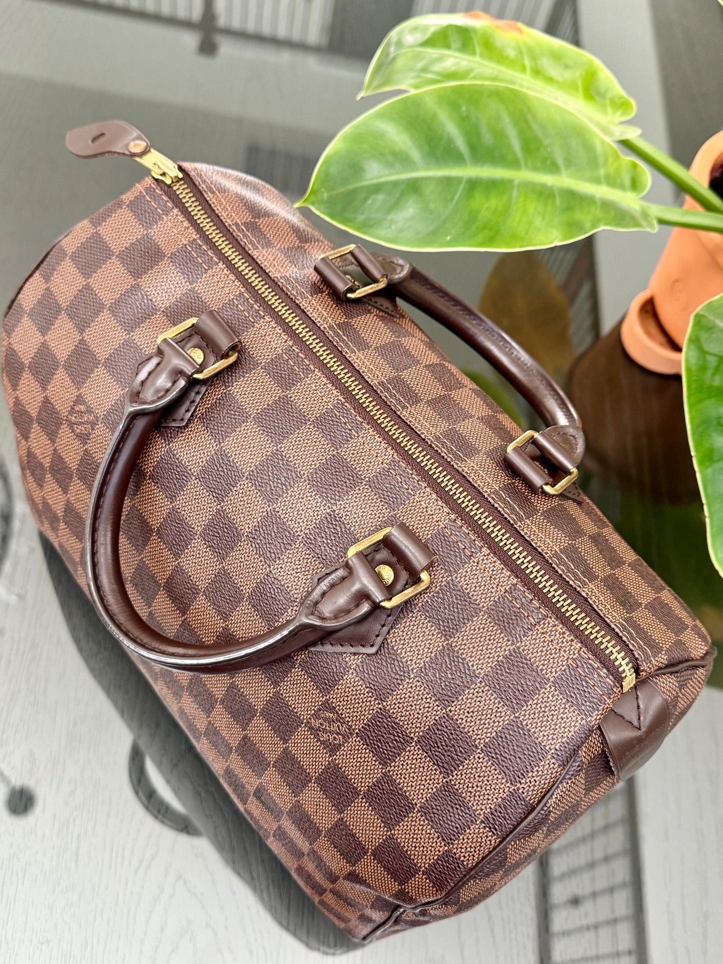 Speedy 30 in DE with 🔐 lock, Key and Dustbag -🗓️ Year: 2017