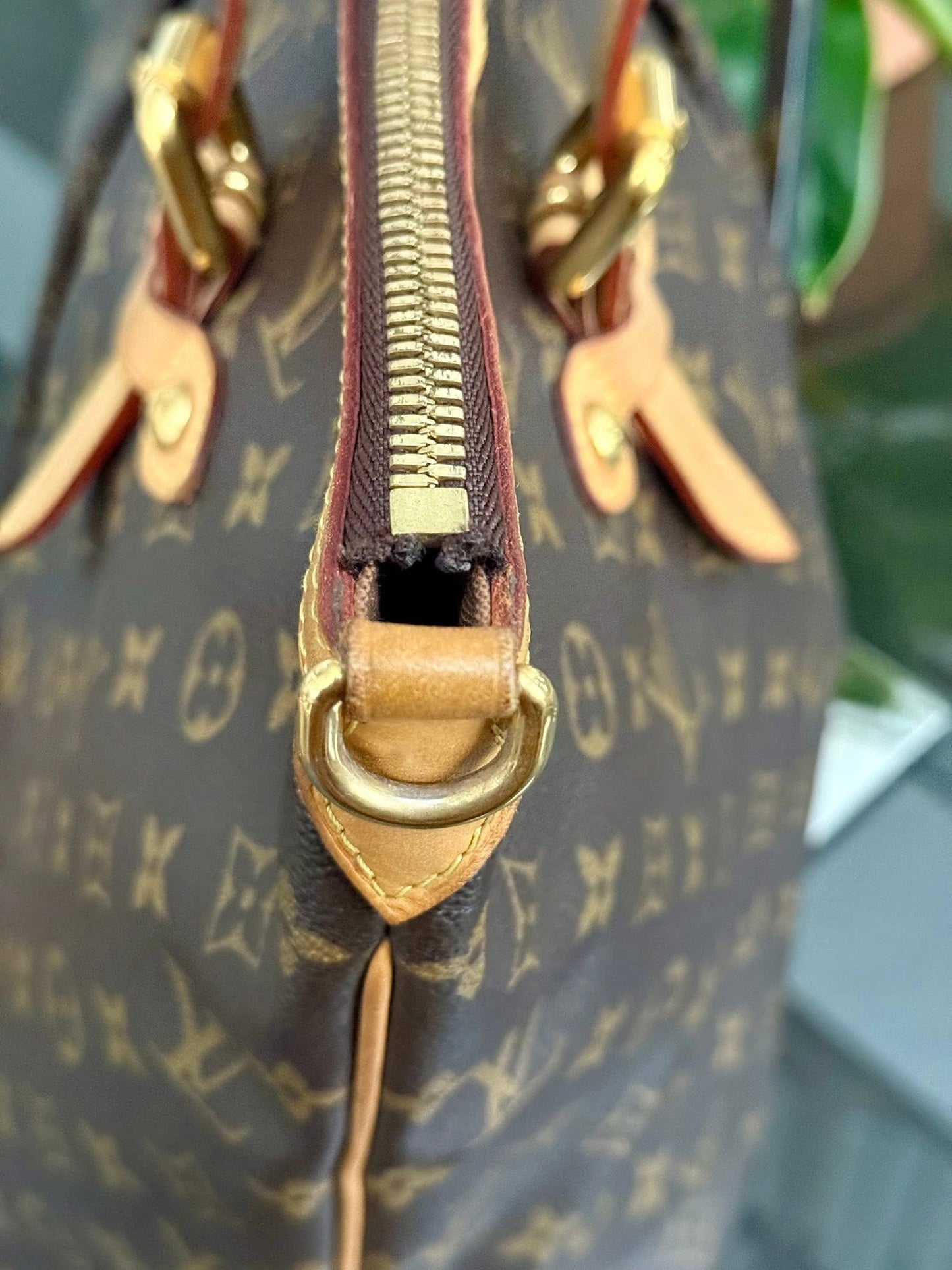 Palermo GM with Dustbag 📅 Year: 2010