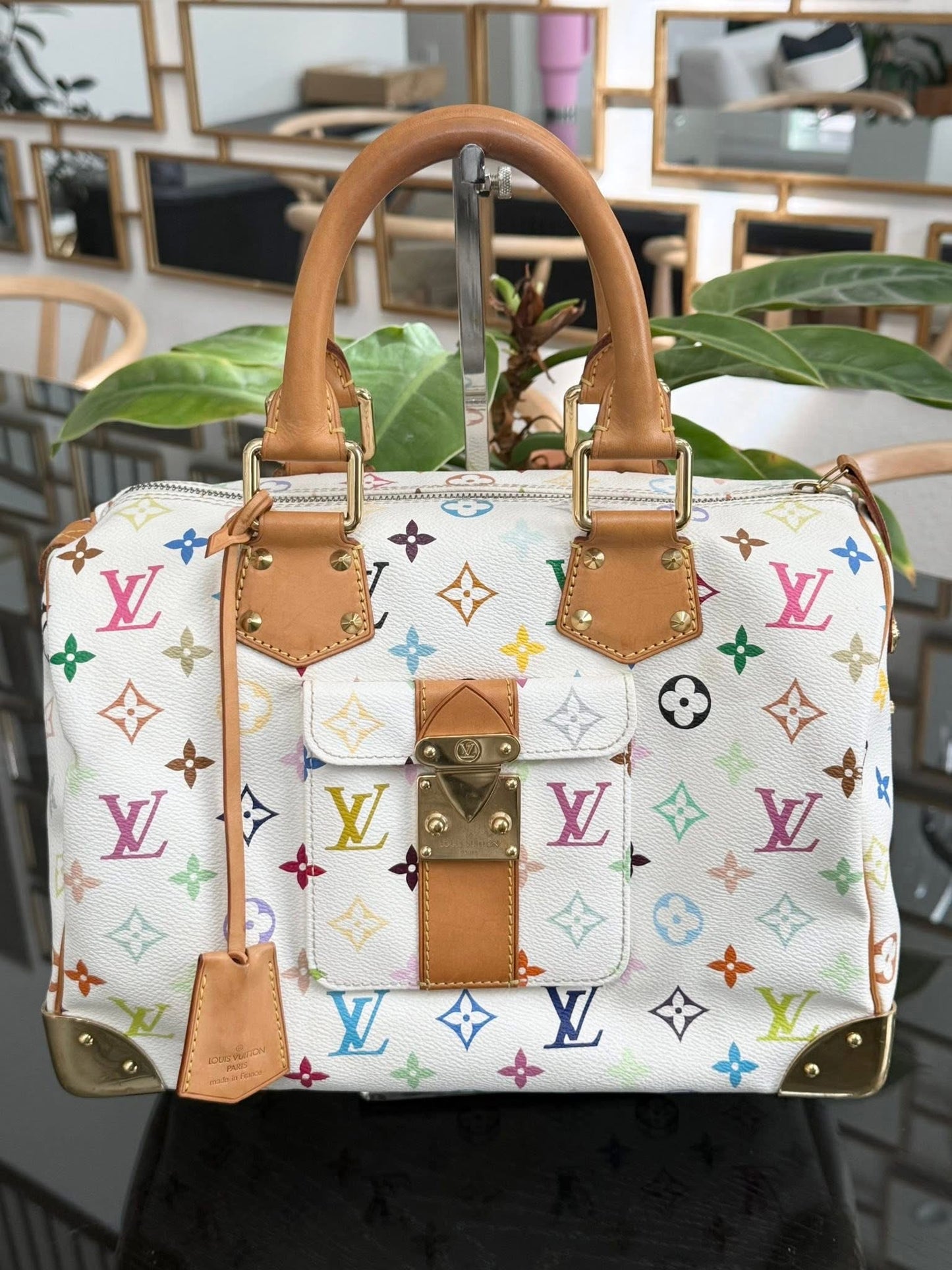 Multicolor Speedy 30 with Dustbag, twilly set and Insert Organizer 📅 Year: 2007
