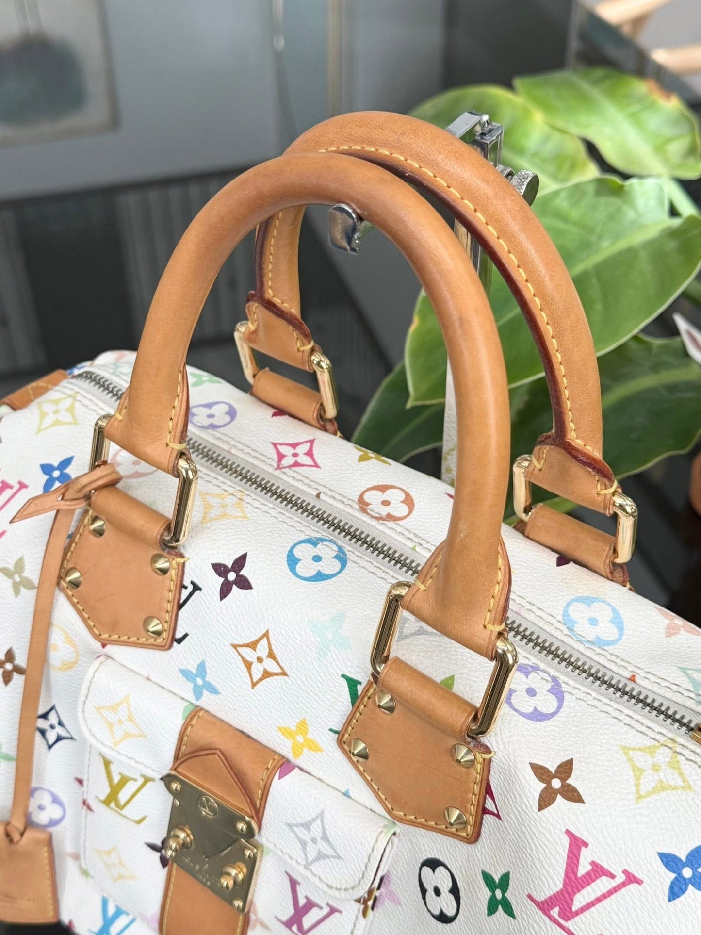 Multicolor Speedy 30 with Dustbag, twilly set and Insert Organizer 📅 Year: 2007